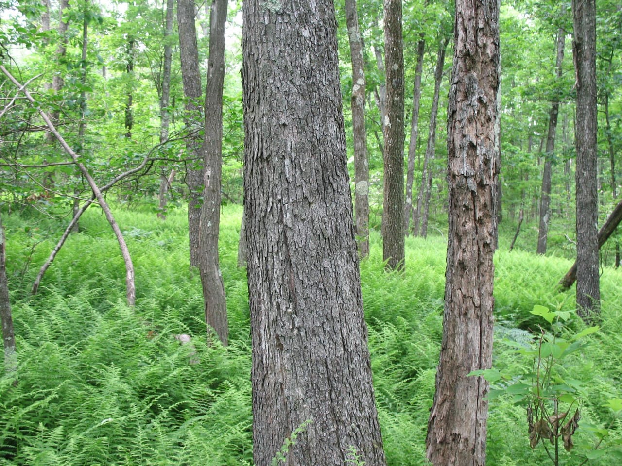 Listing Image 33