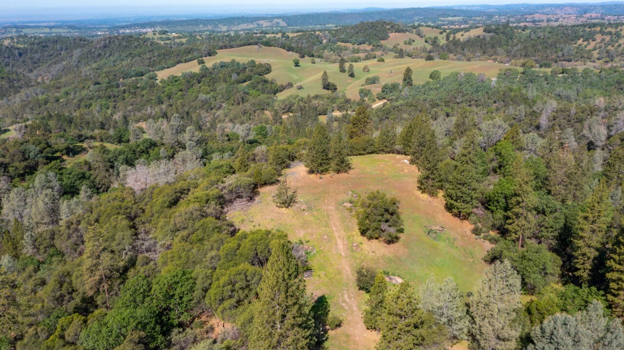 Trembath Mountain Vista