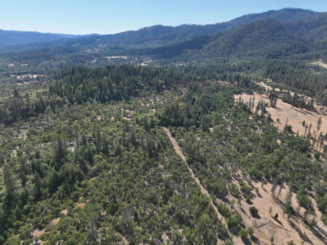 240 Acres Hayfork
