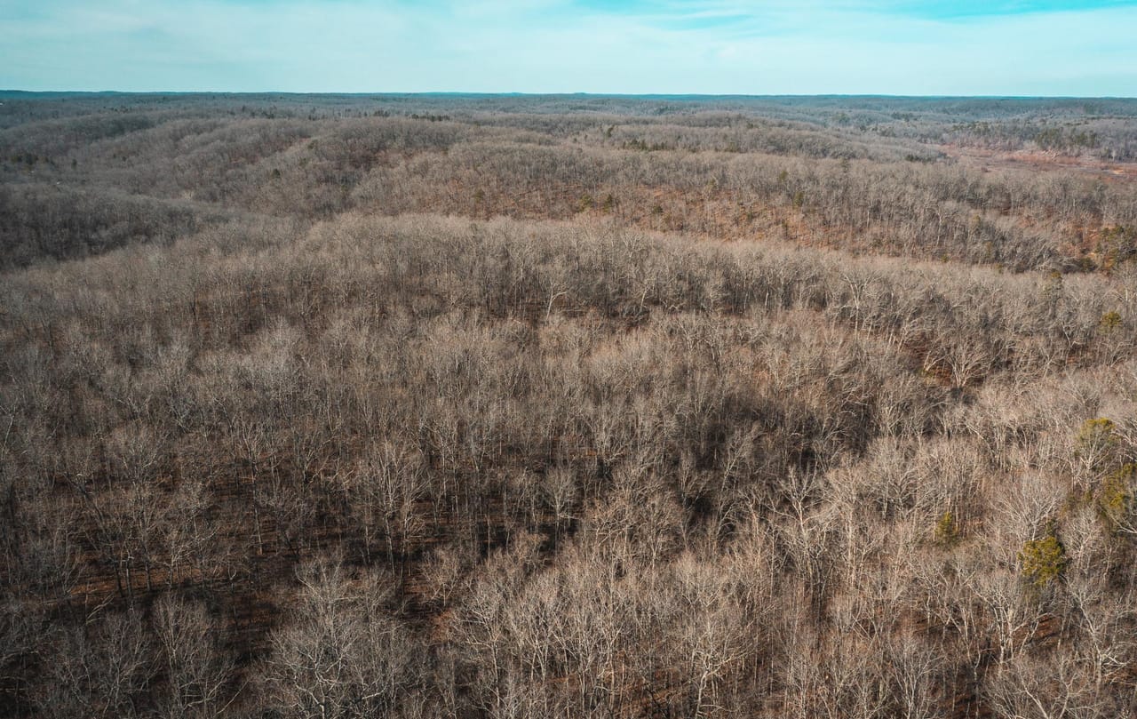 Listing Image 8