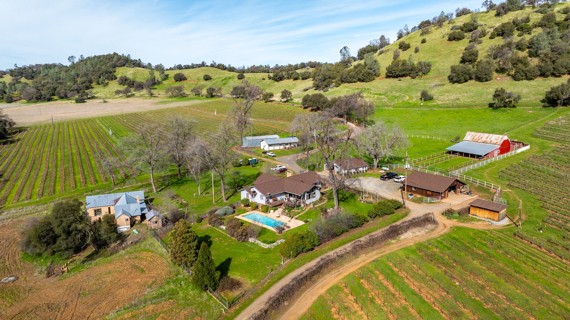 Chatom Vineyards