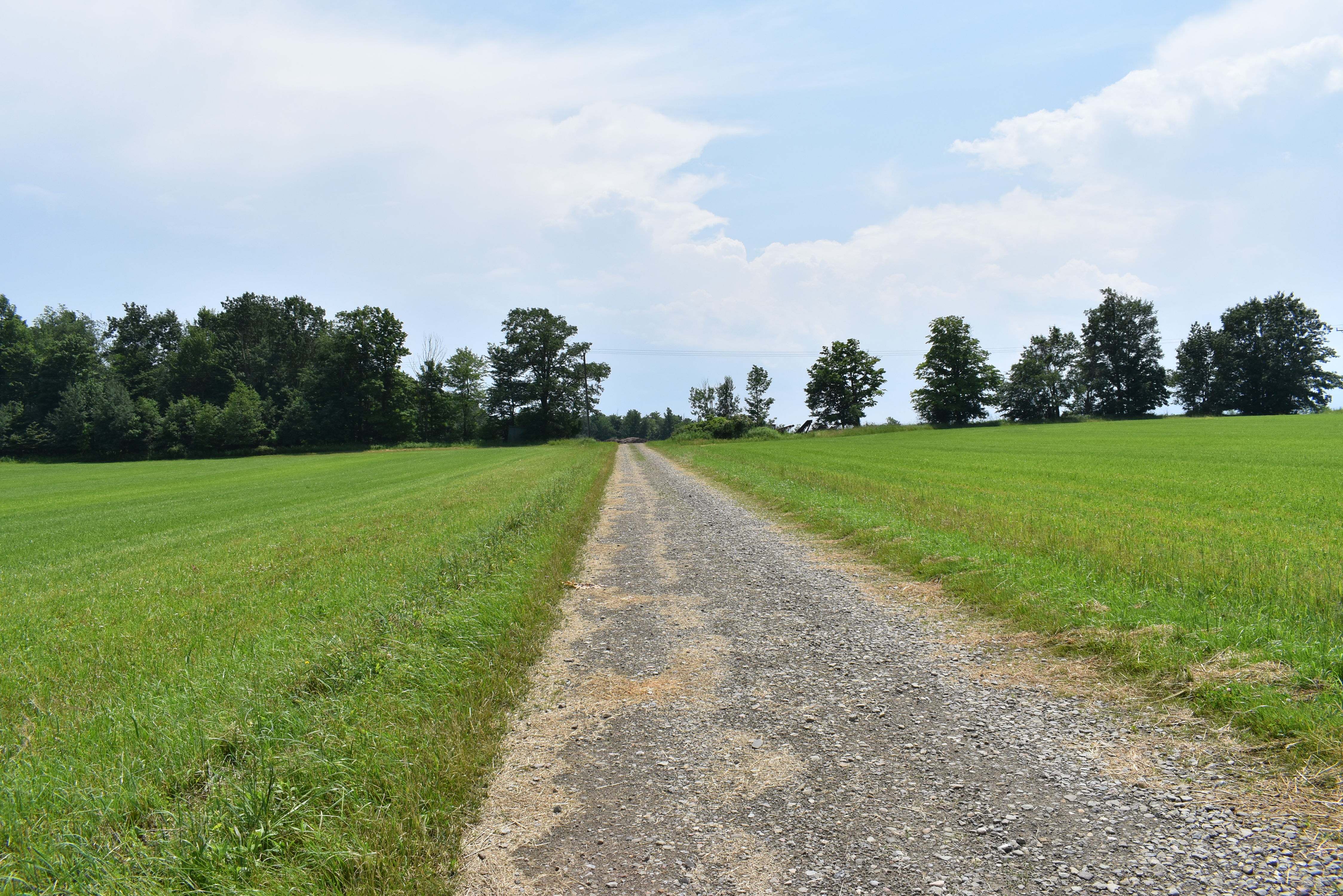 Listing Image 92