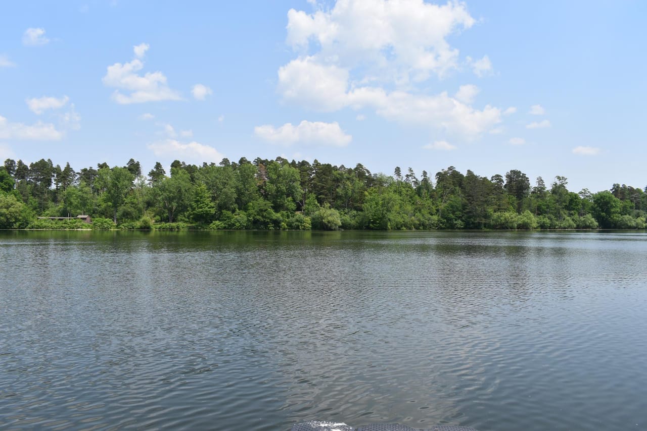 Listing Image 21