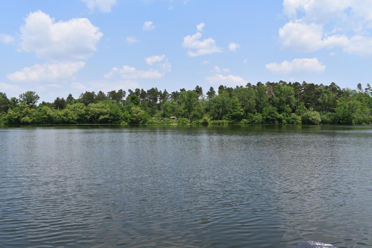 Listing Image 23