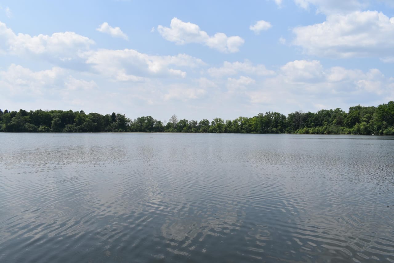 Listing Image 24
