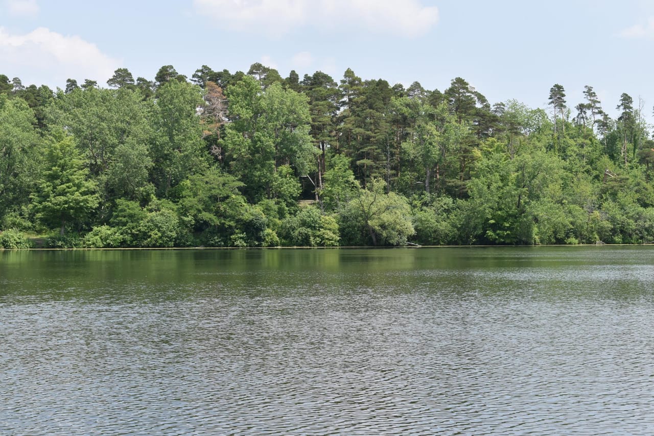 Listing Image 47