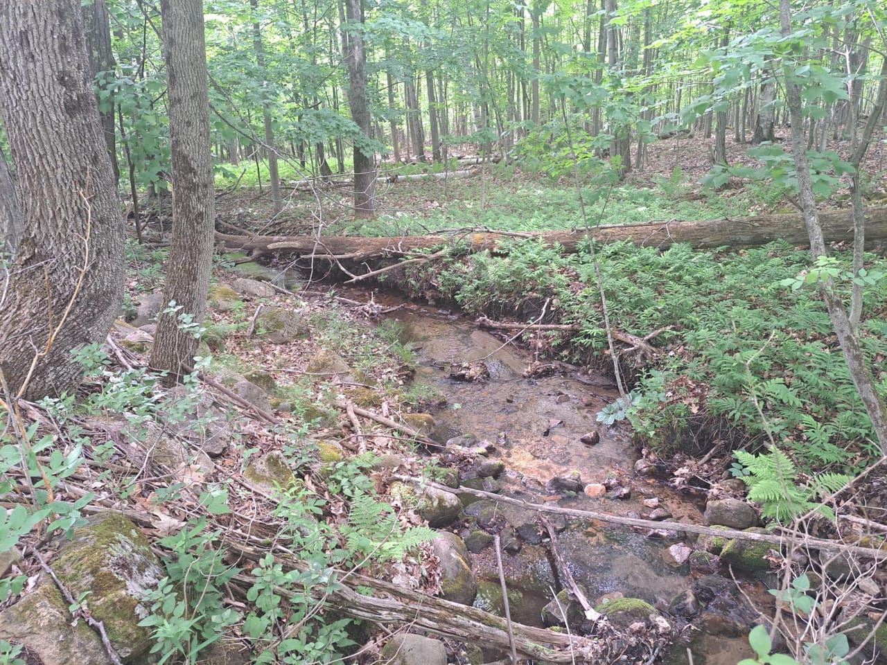 Listing Image 19