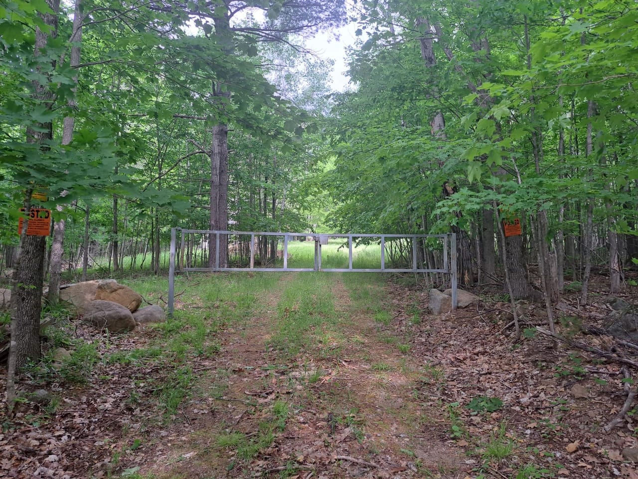 Listing Image 64