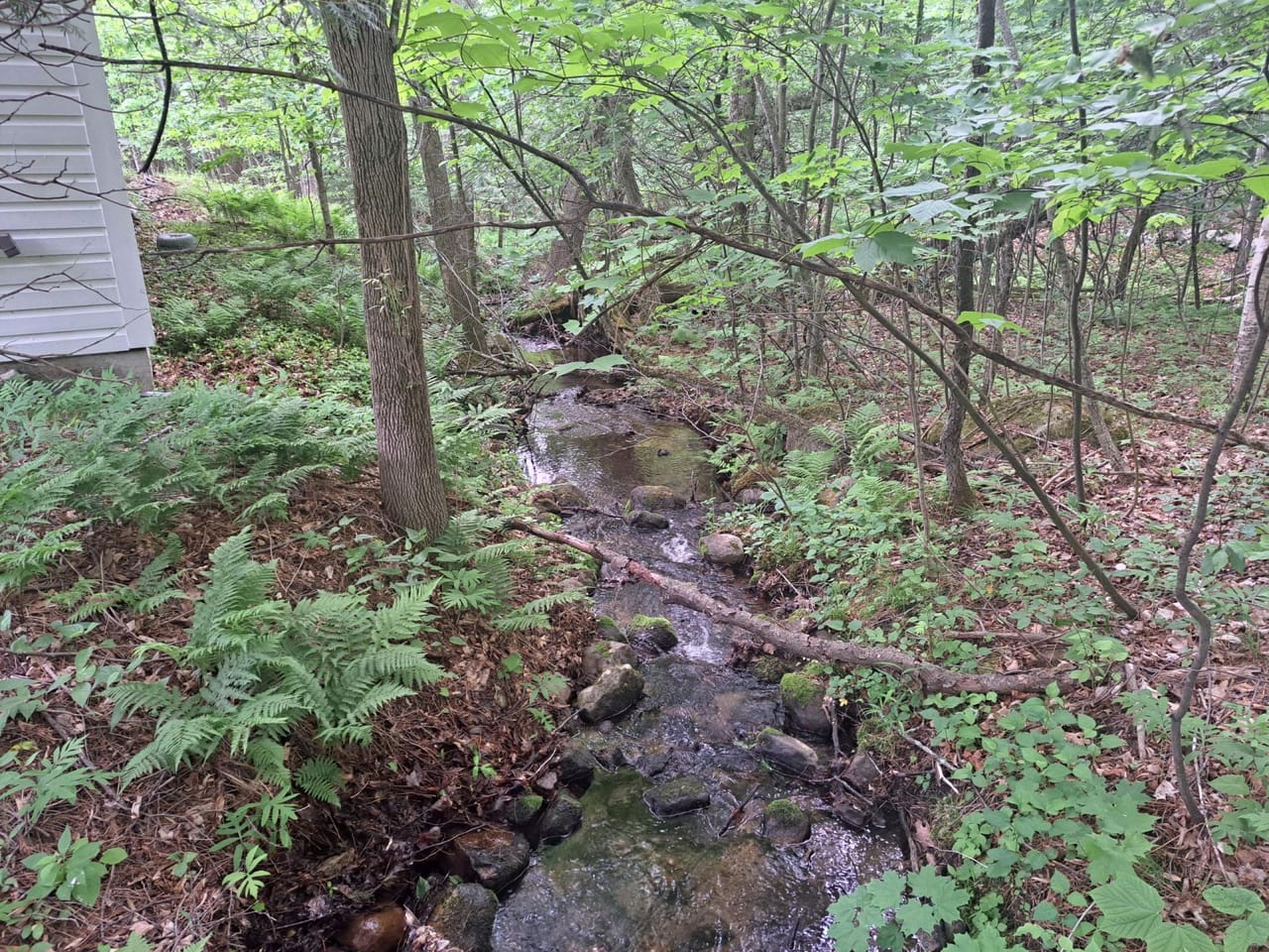 Listing Image 65