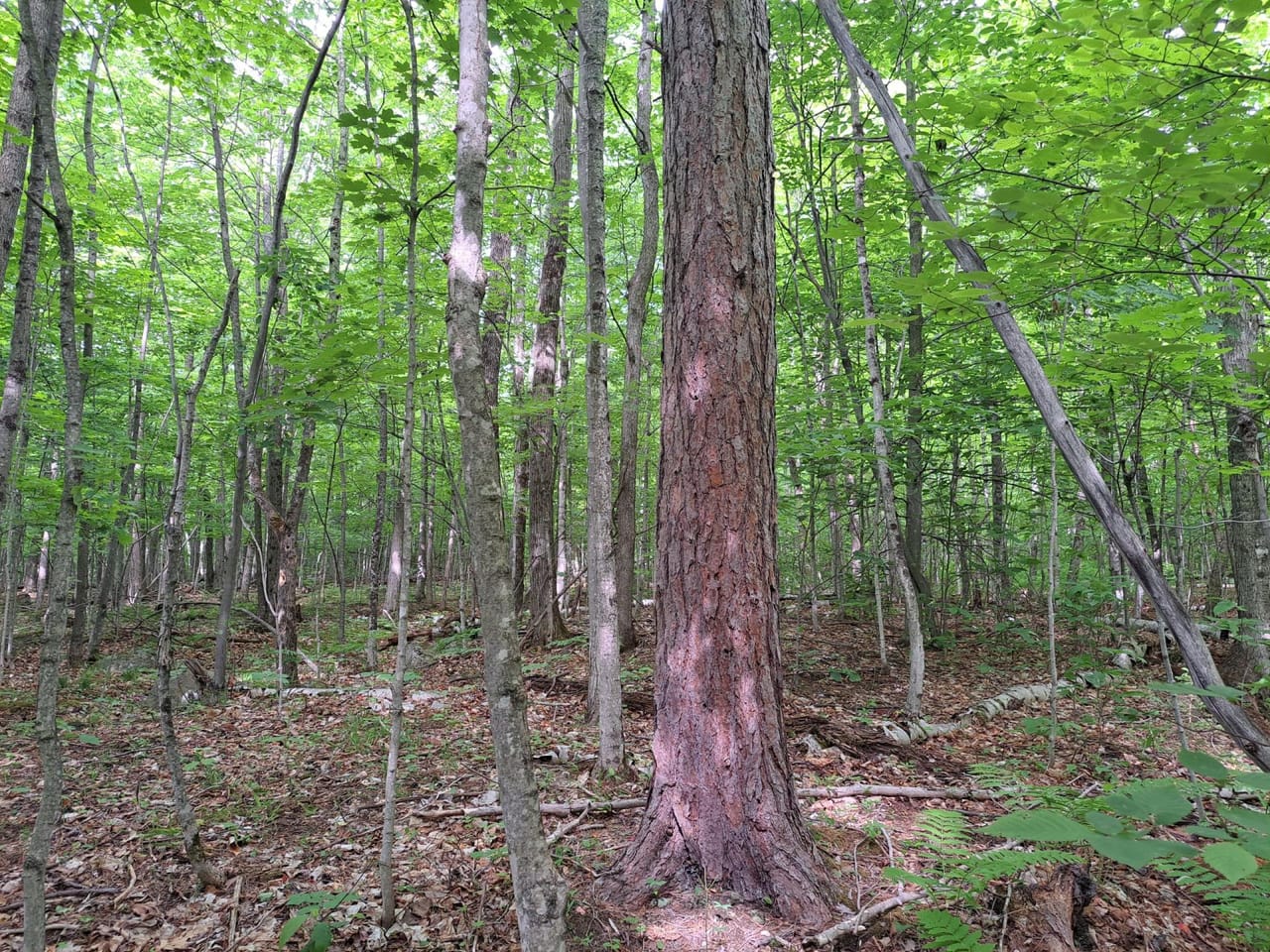 Listing Image 70