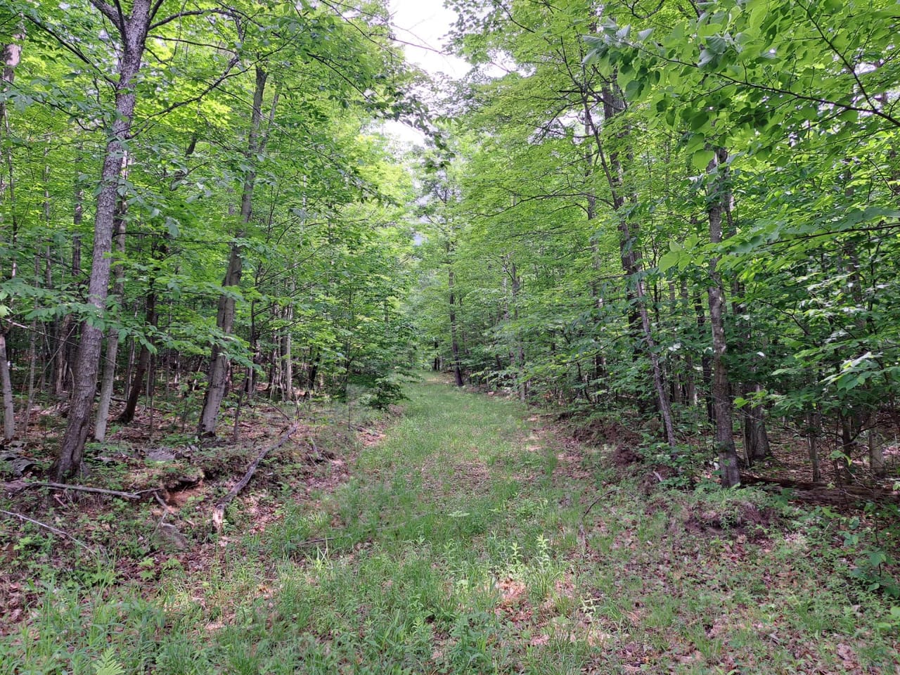 Listing Image 72