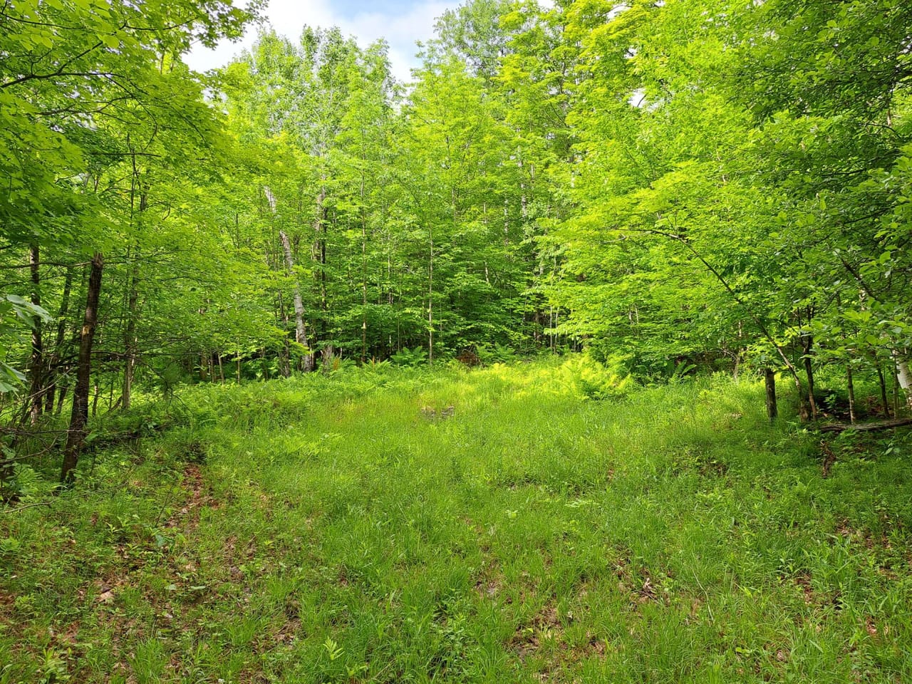 Listing Image 73