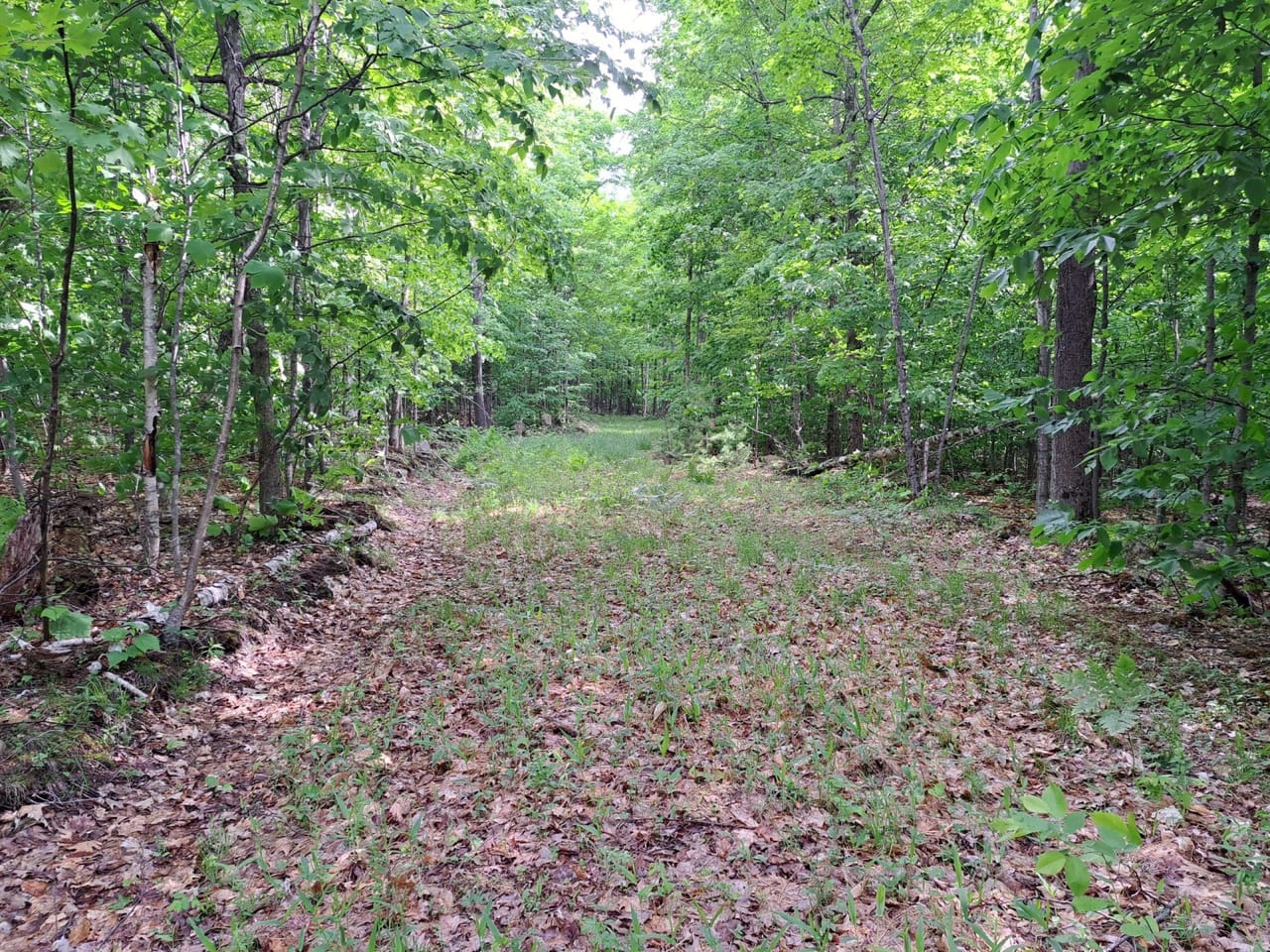 Listing Image 74