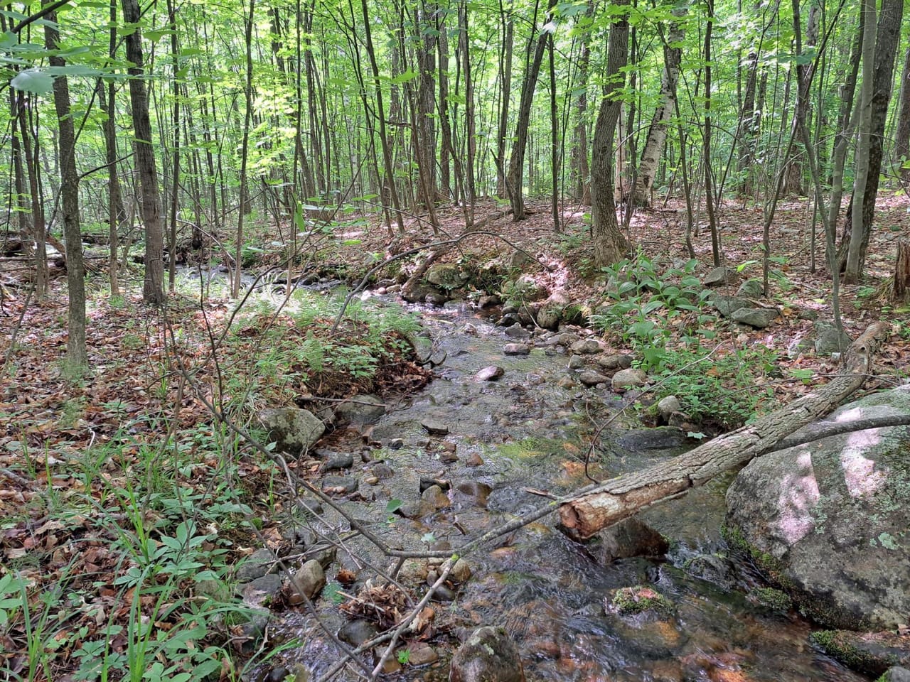 Listing Image 75
