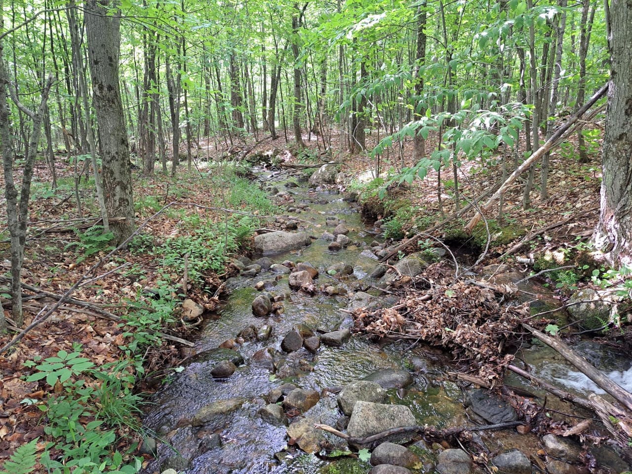 Listing Image 76