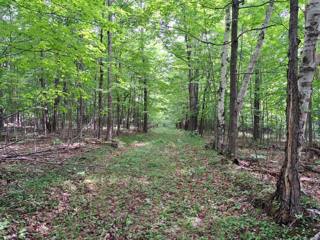 Listing Image 77