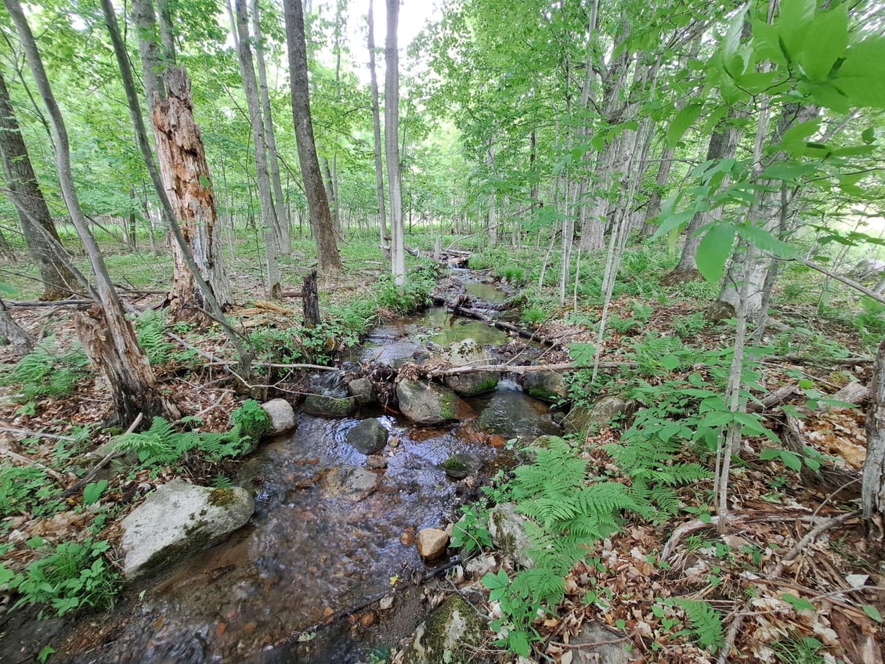 Listing Image 79