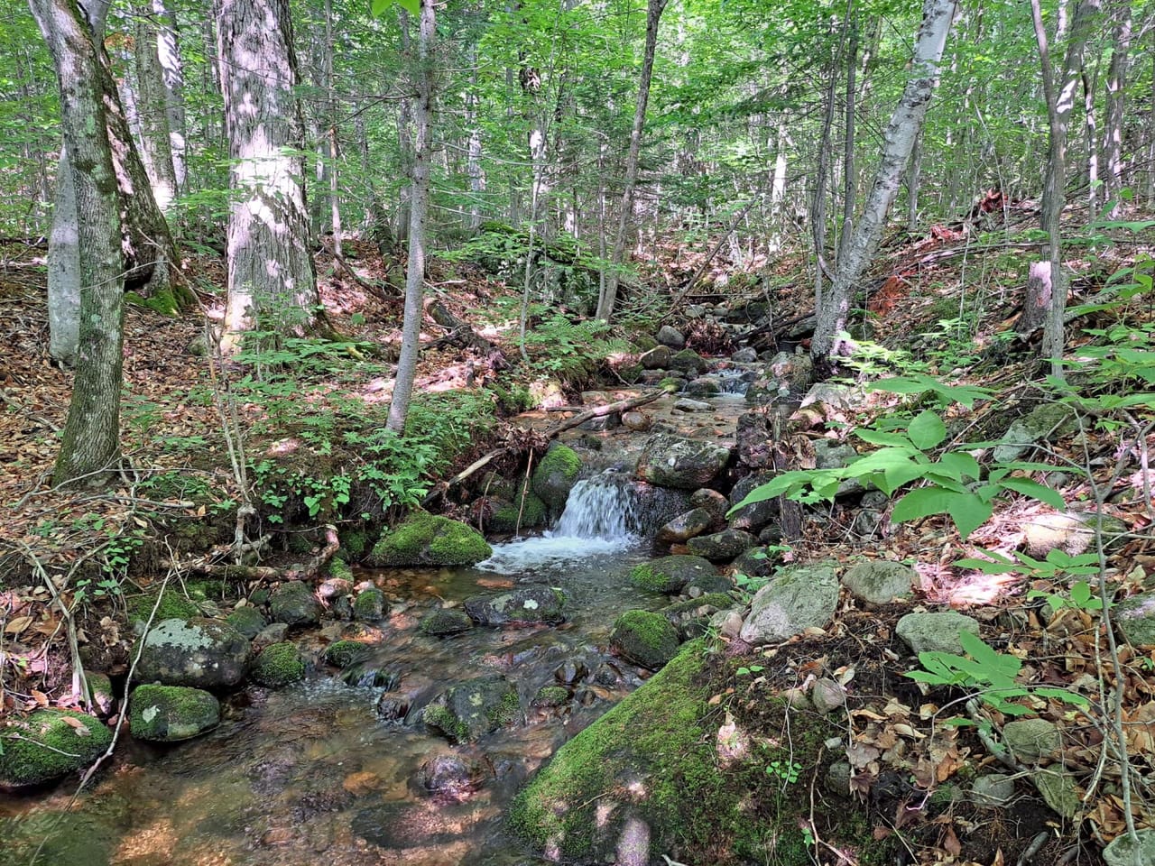 Listing Image 13