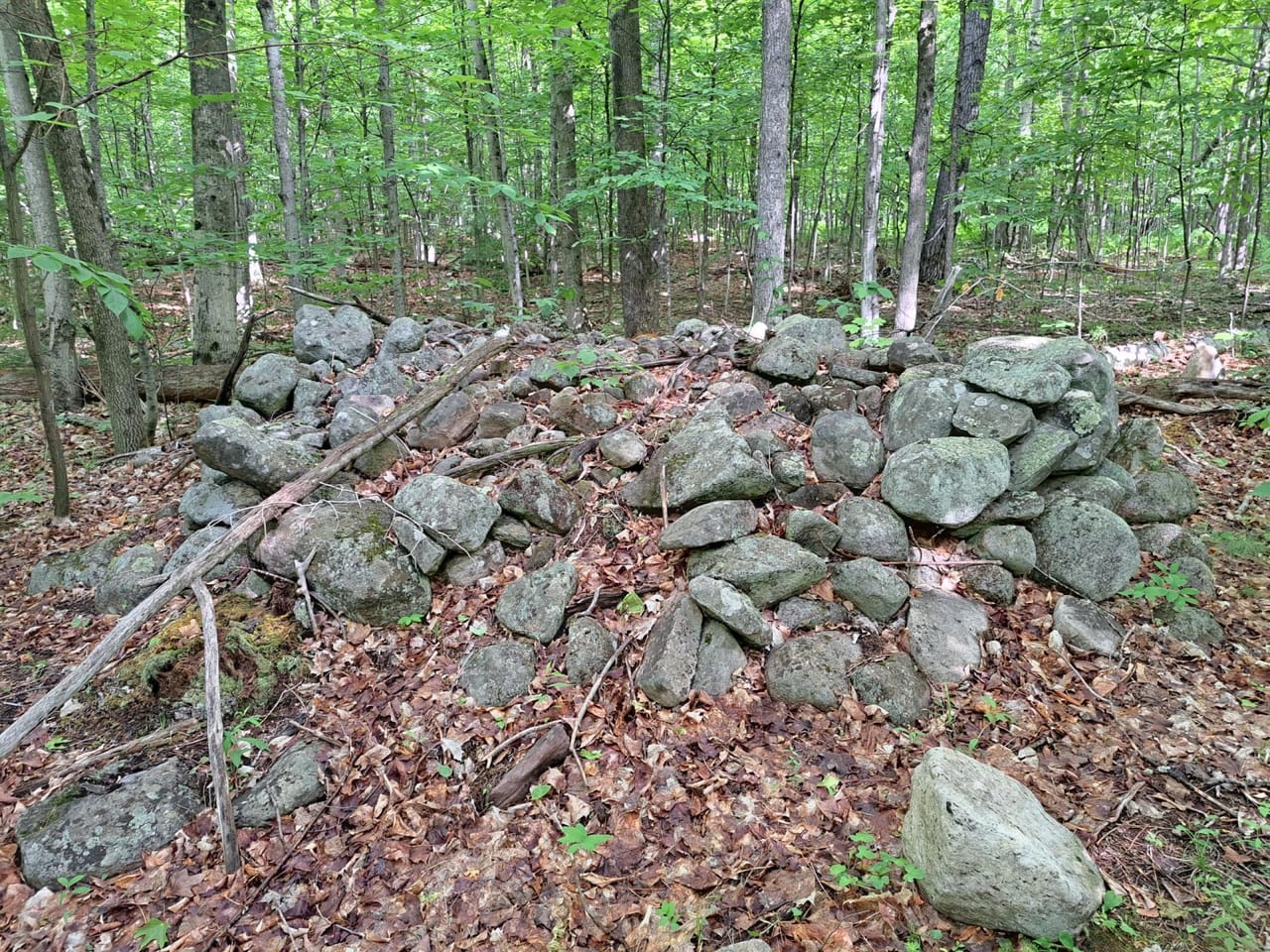 Listing Image 29