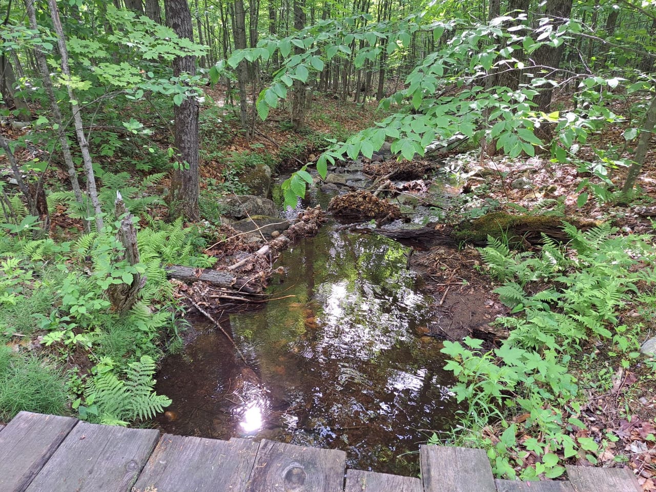 Listing Image 49