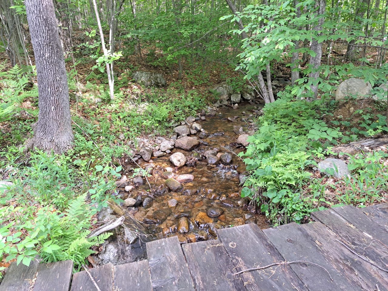 Listing Image 52