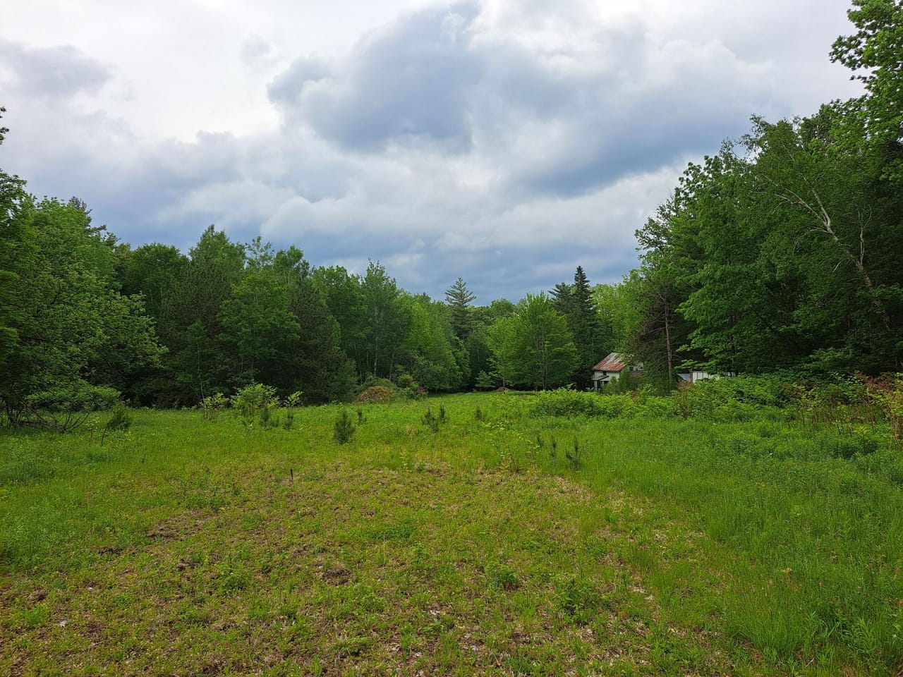 Listing Image 53