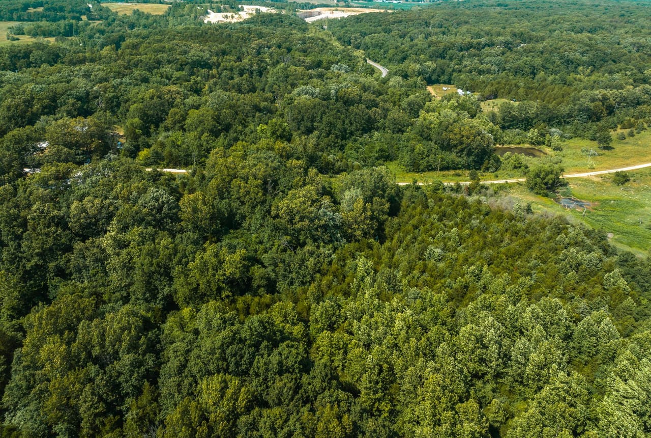 Listing Image 6