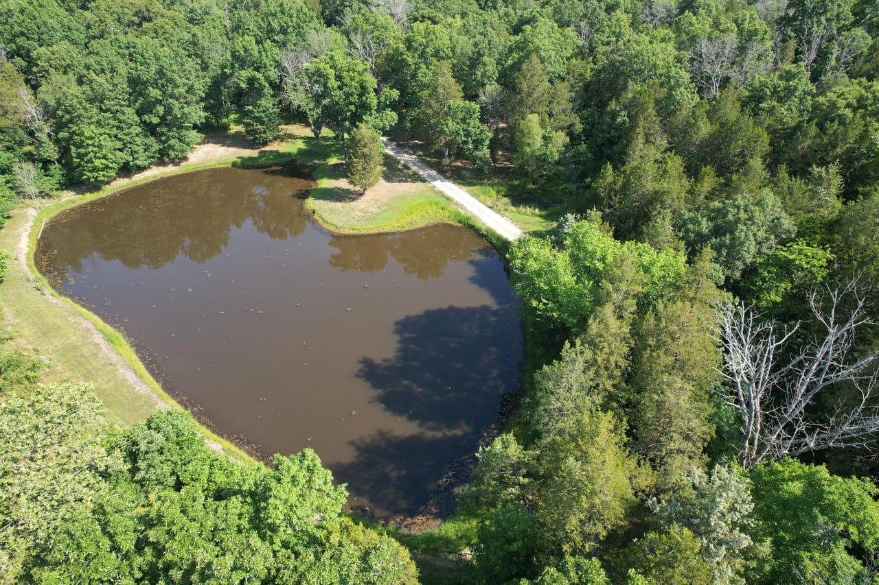 Listing Image 11