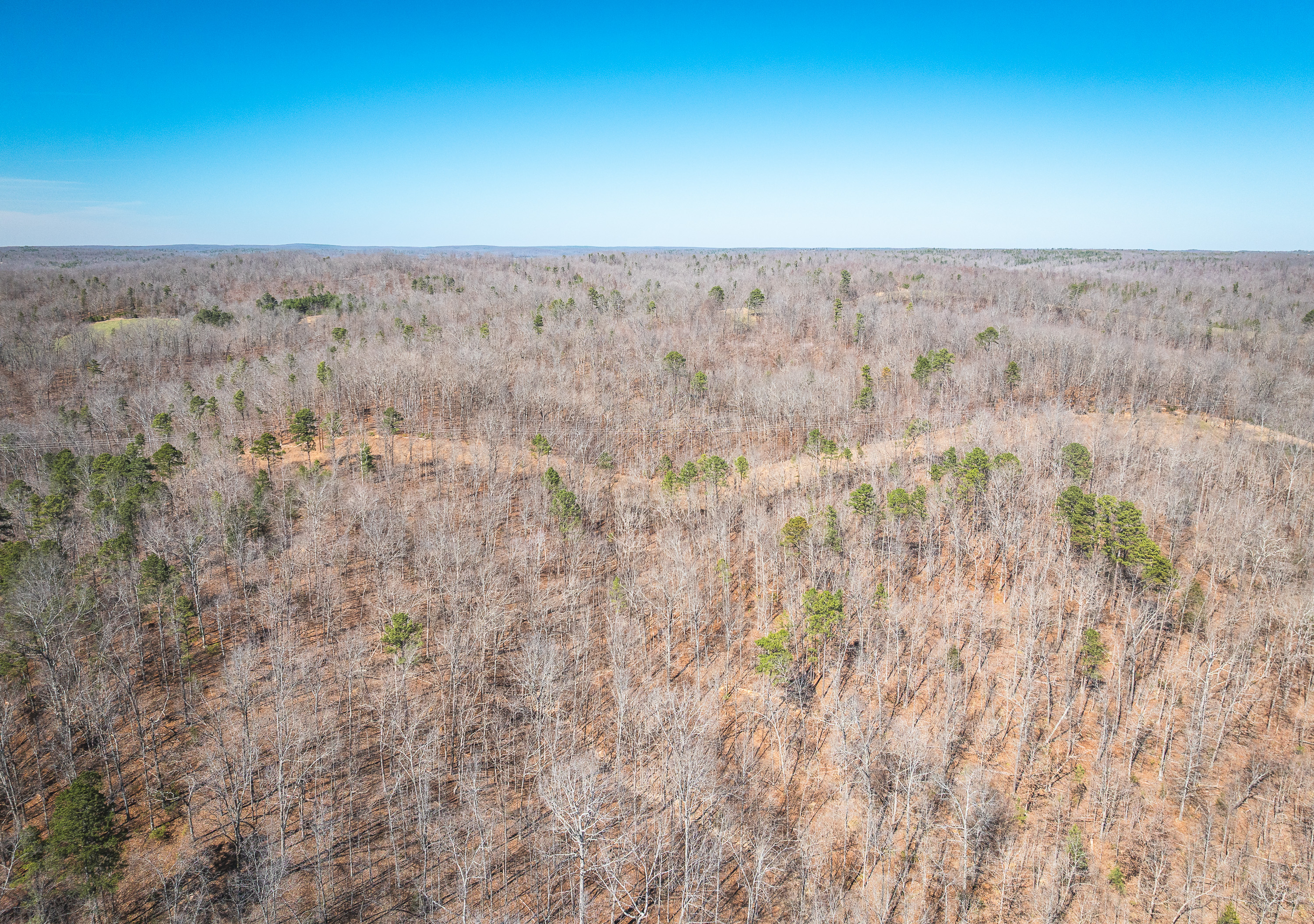 58 Acre Wildlife Retreat