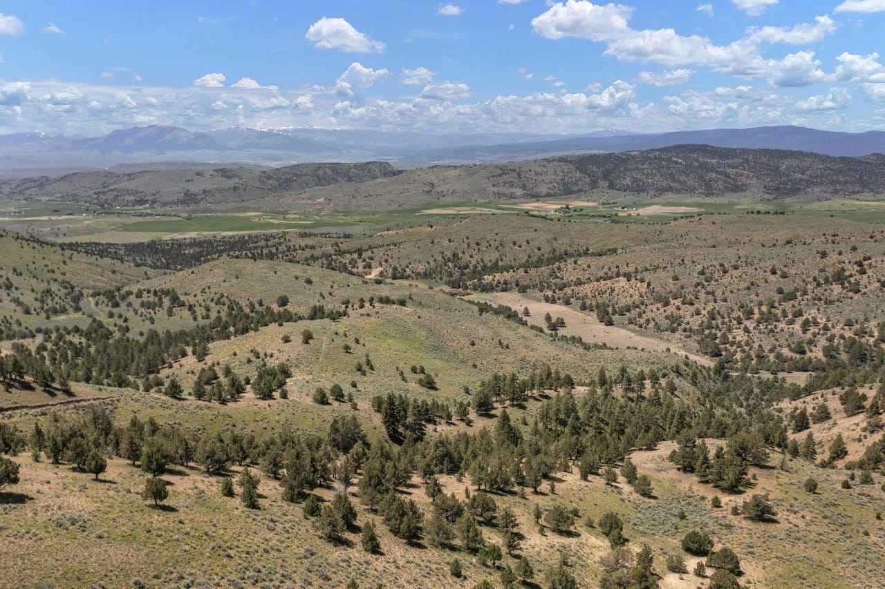 Listing Image 33