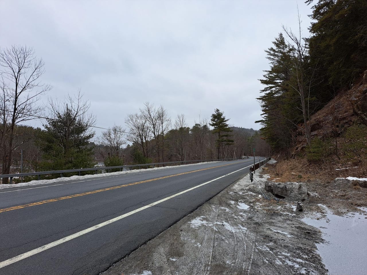 Hudson River Woodlot