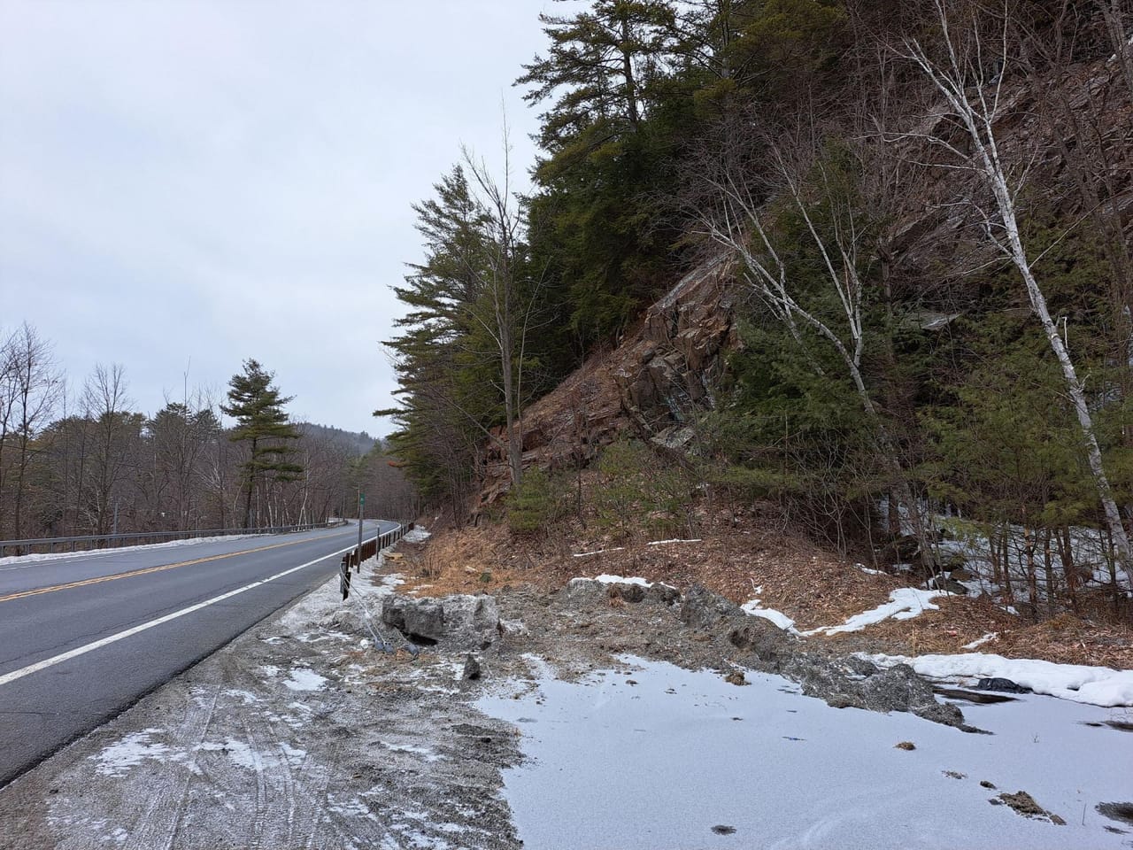 Hudson River Woodlot