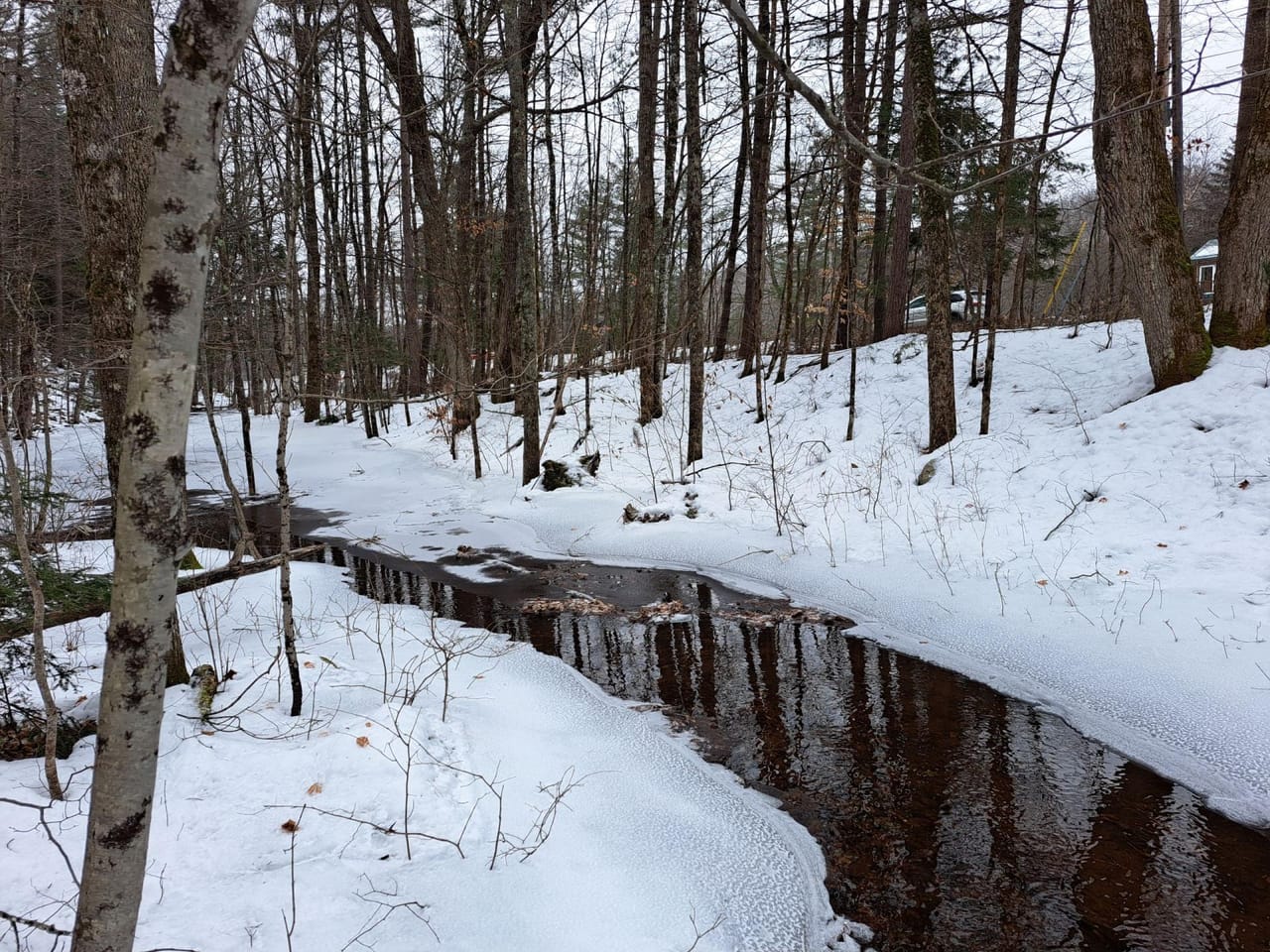 Hudson River Woodlot