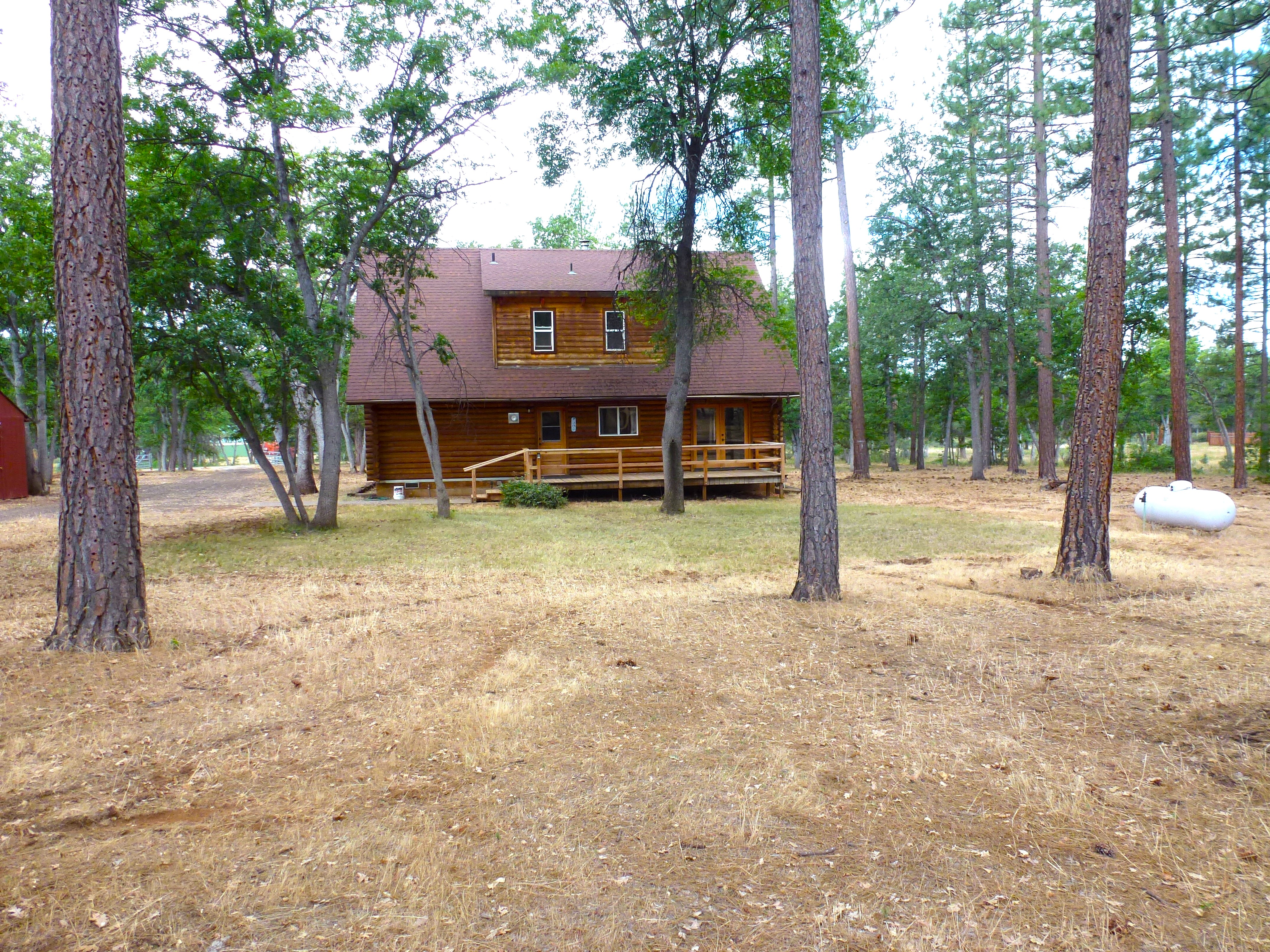 Log Home in the Pines