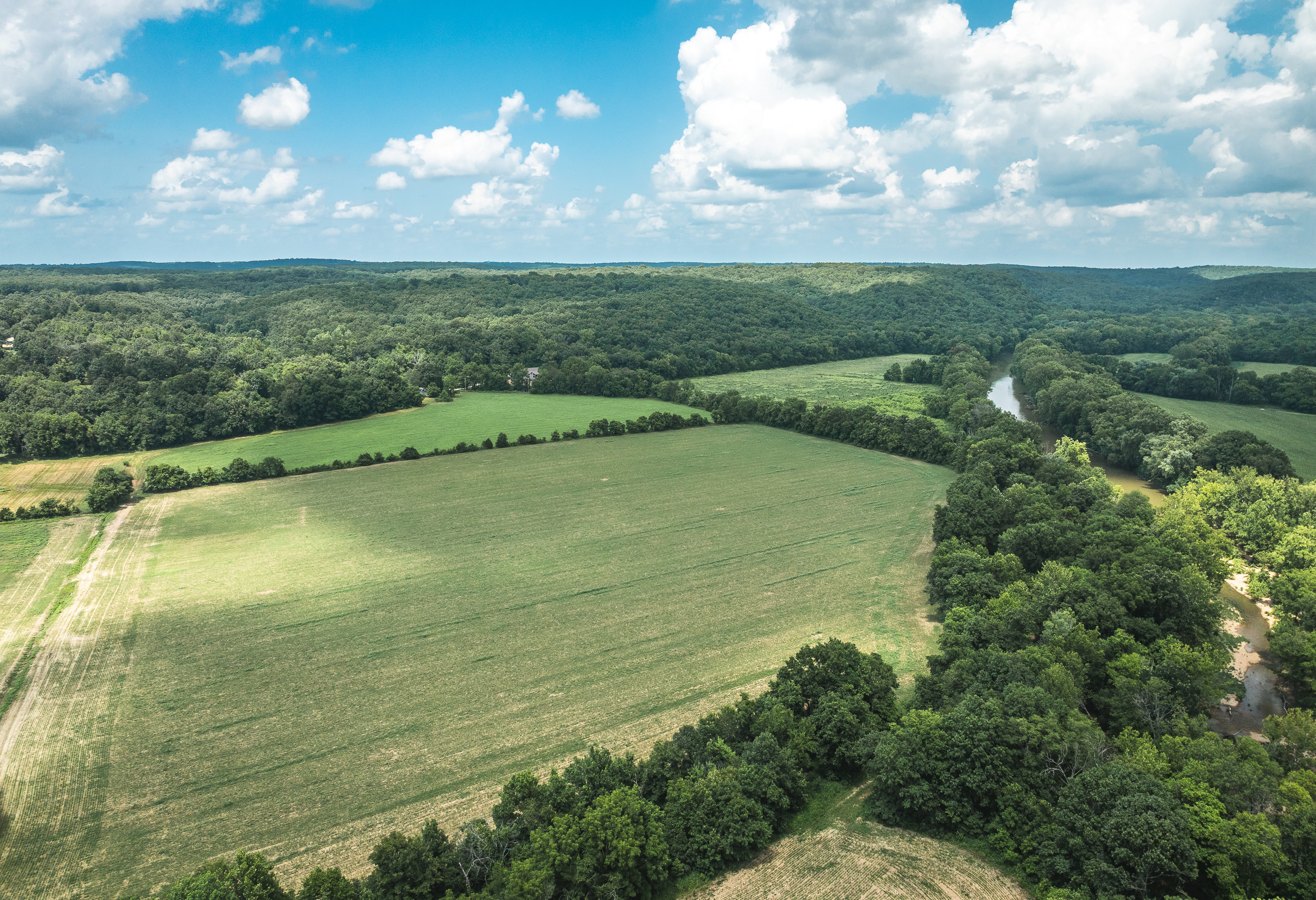 Gasconade Angus Ranch