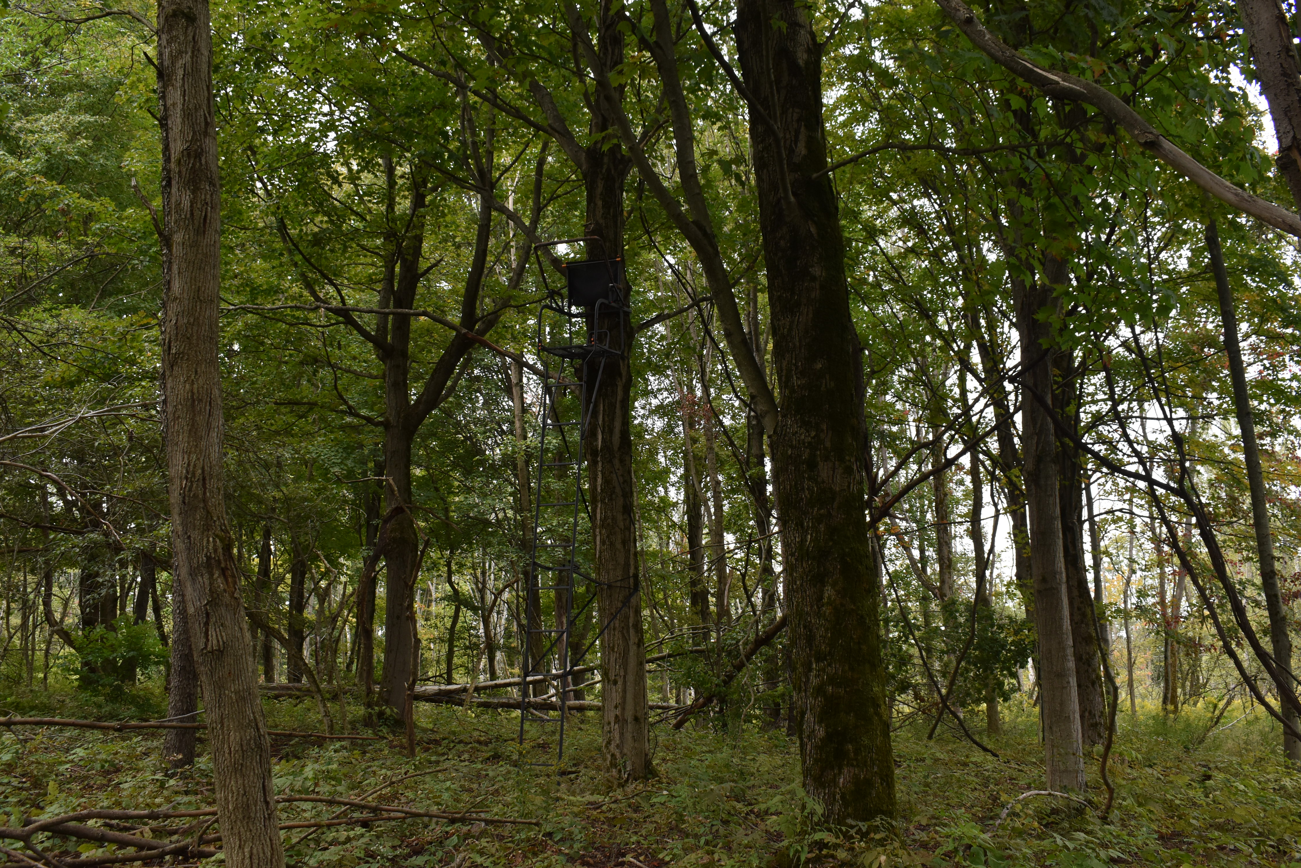 Listing Image 12