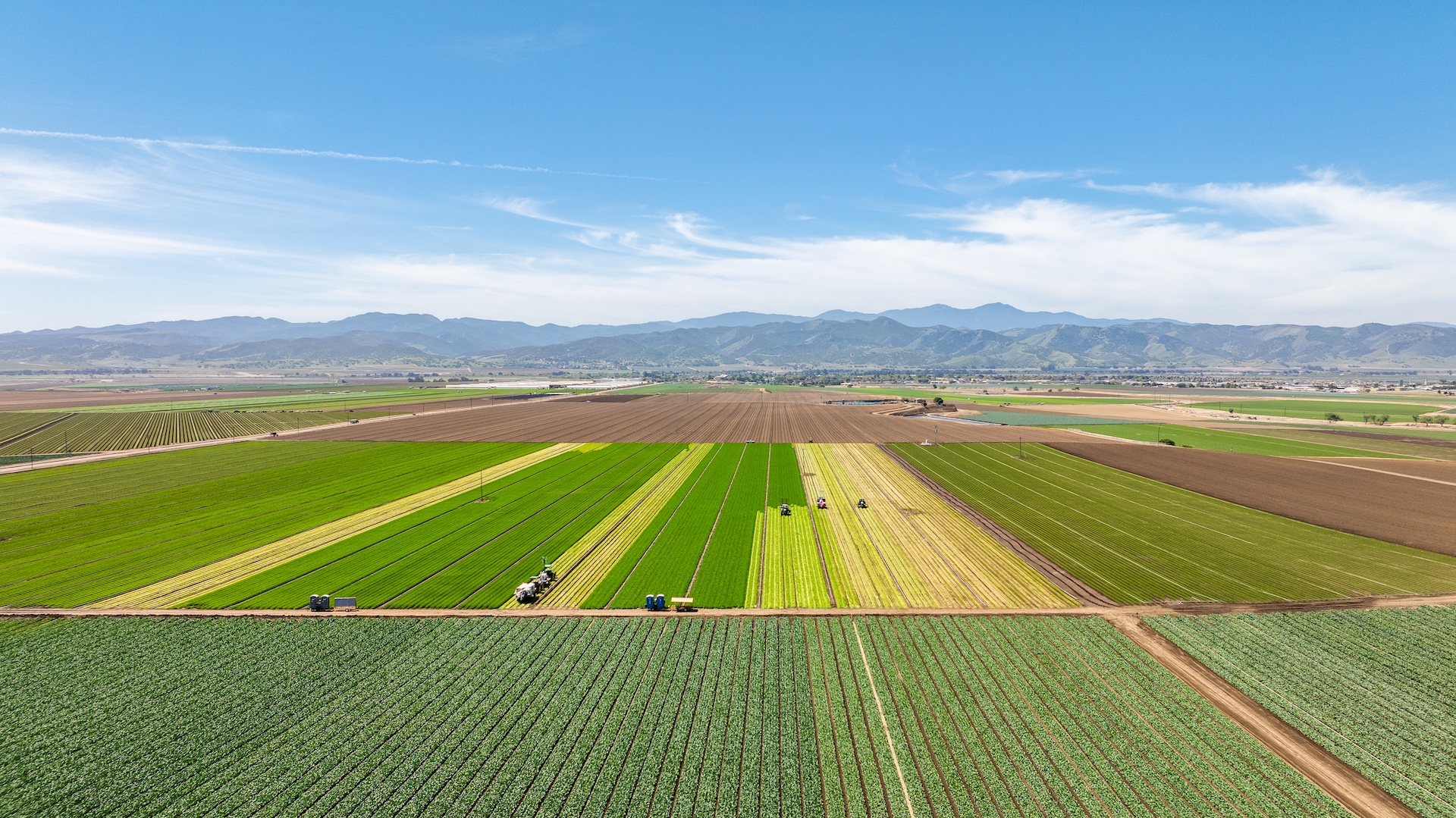 Reynolds Land & Cattle Co. Farmland