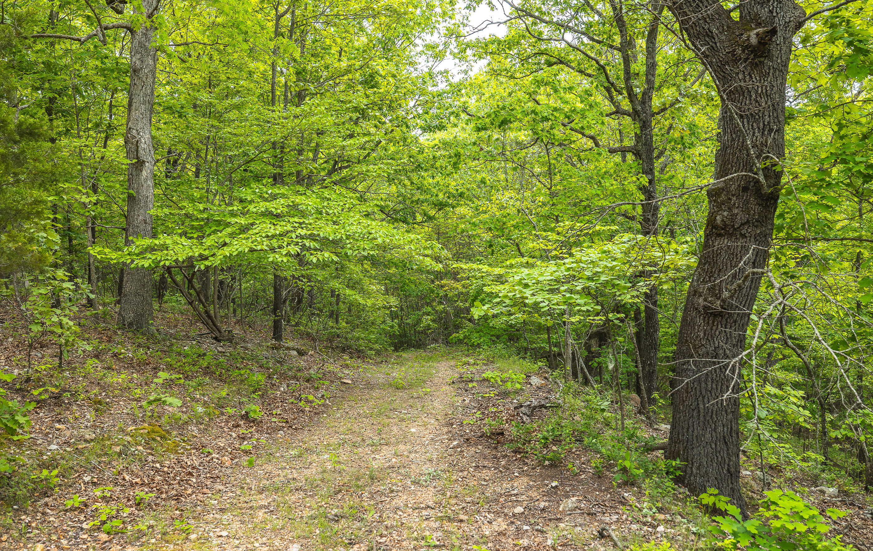 Waters Edge on the Gasconade River Tract 1