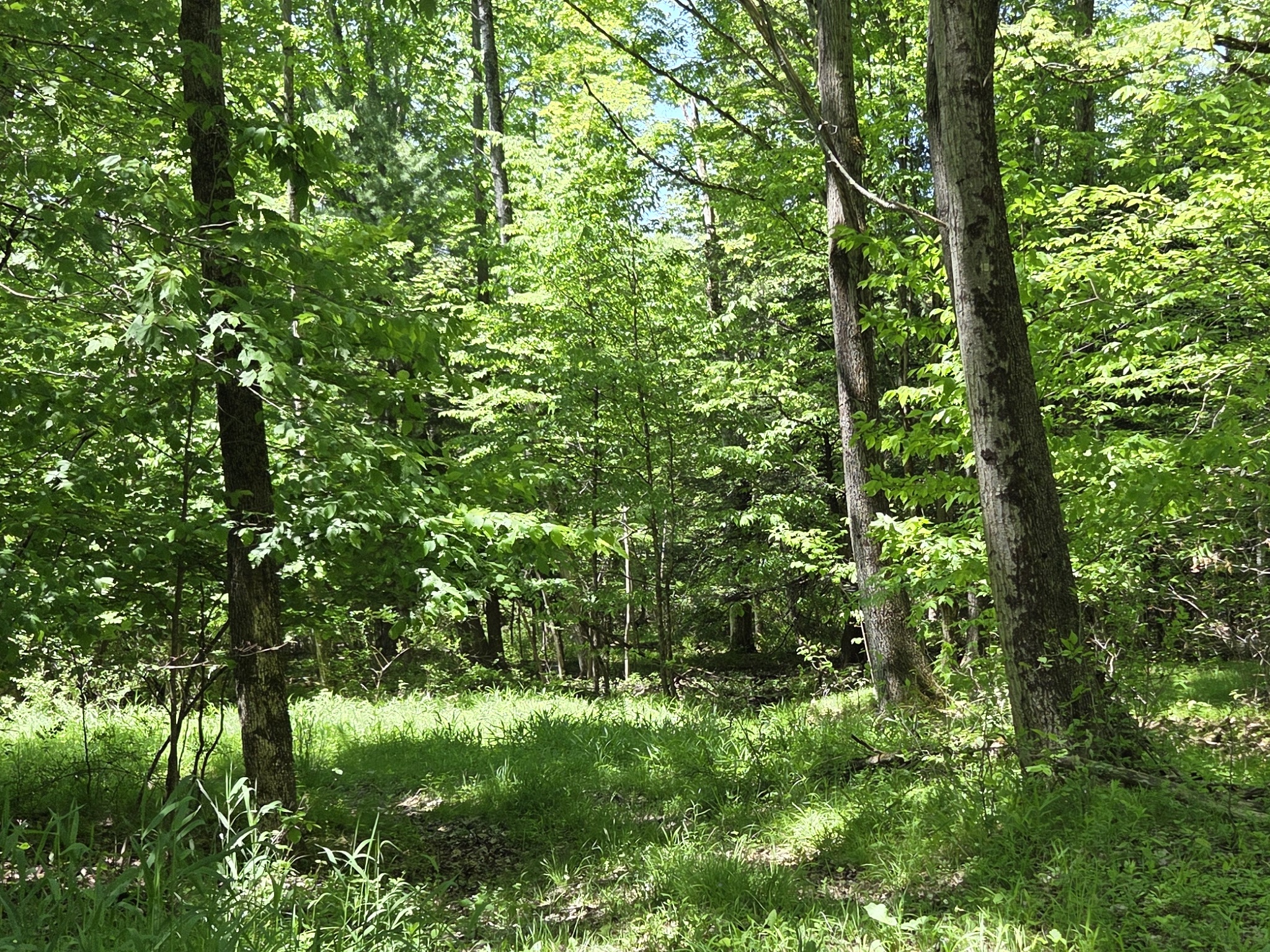 Listing Image 41
