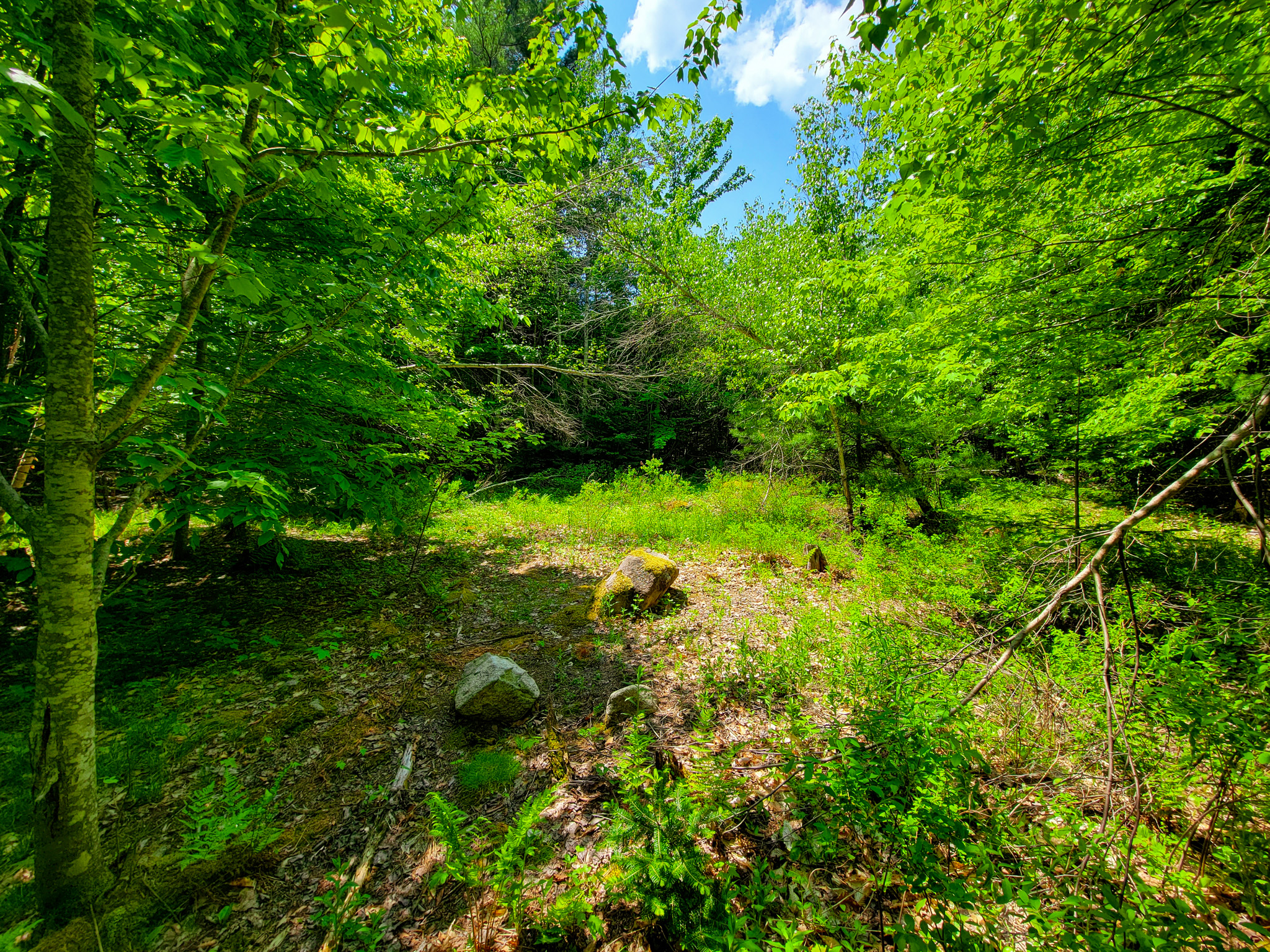 280 Gorham Hill Road - Gorham, NH