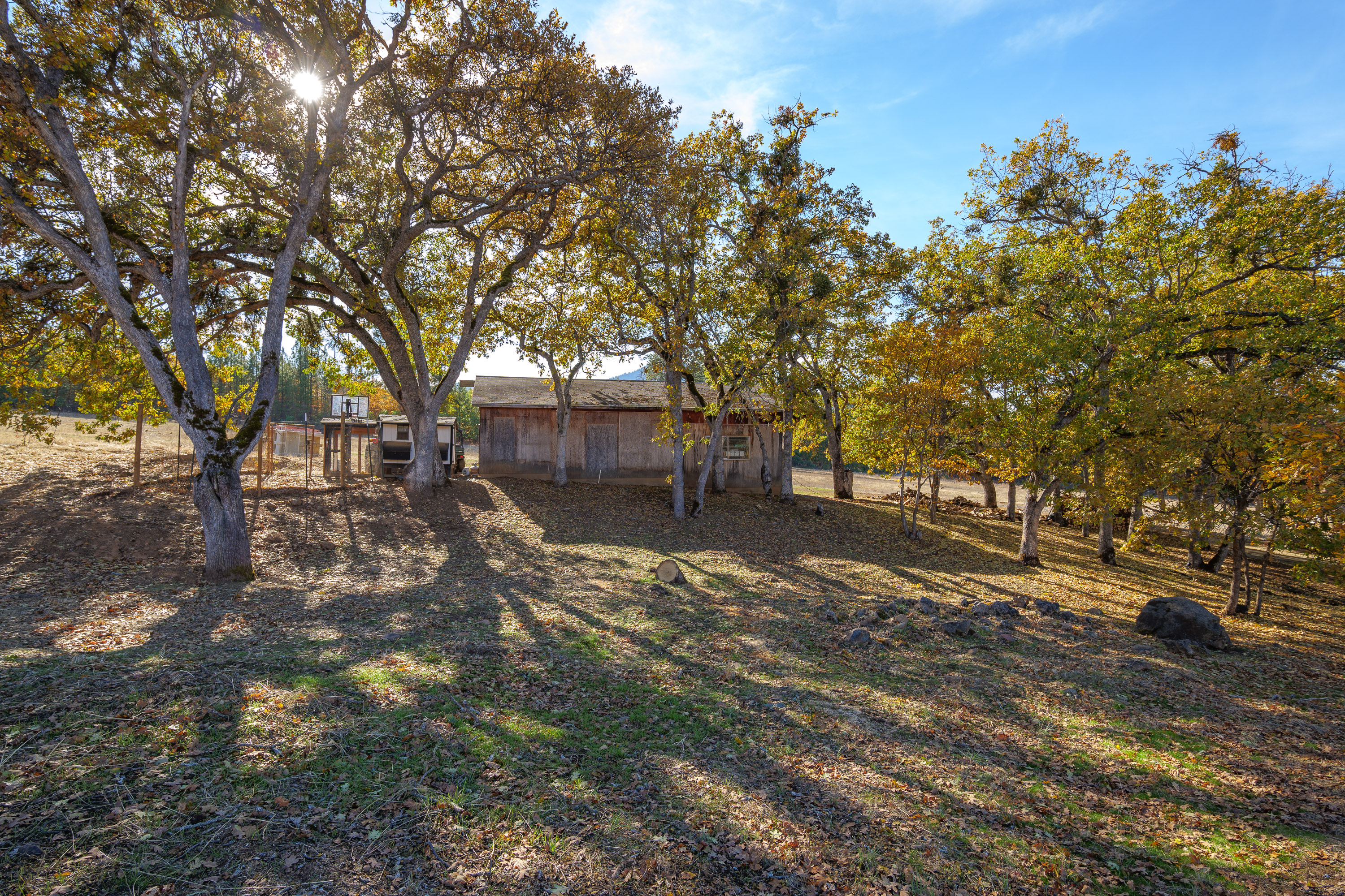 Listing Image 51