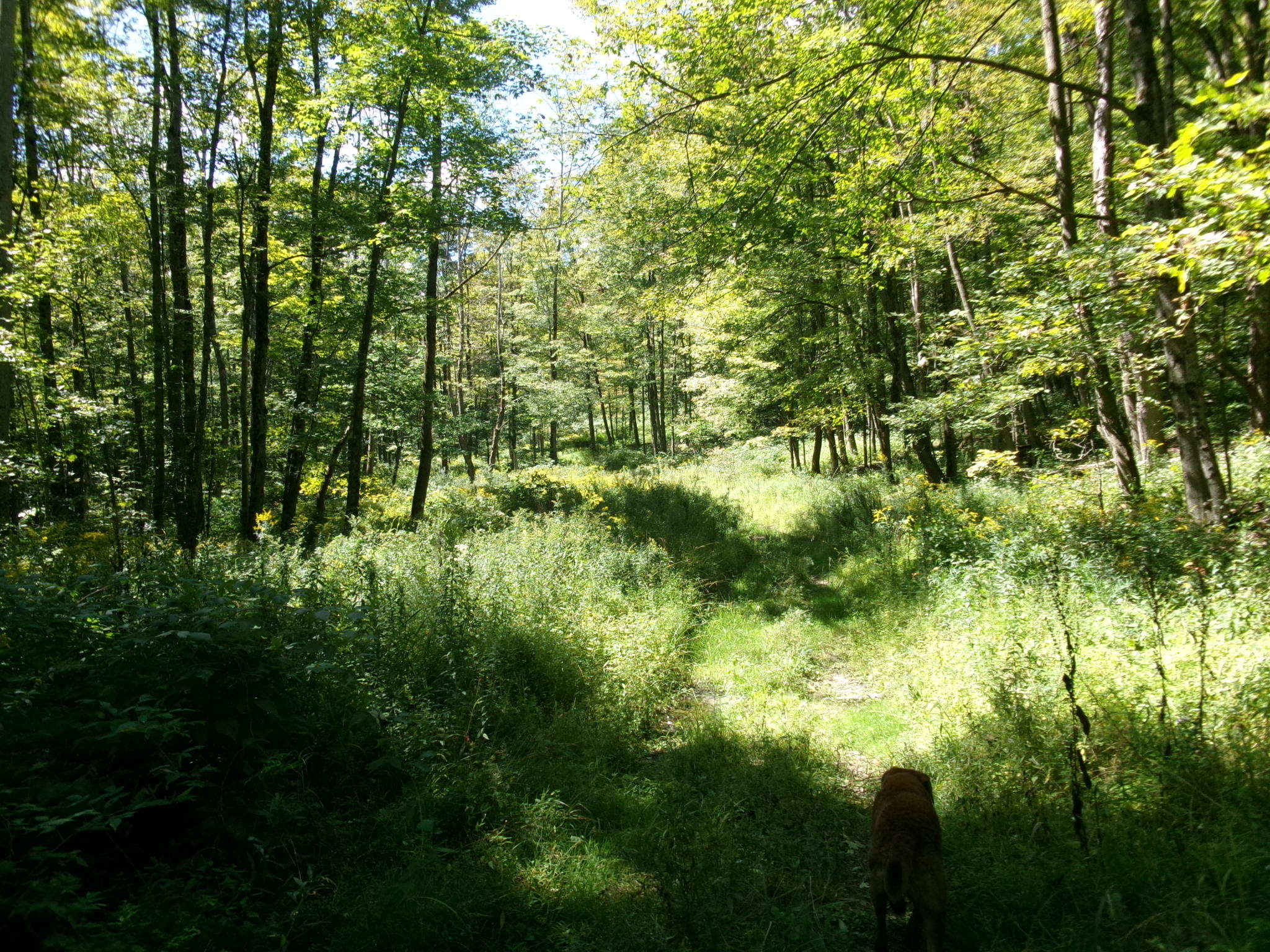 Listing Image 54