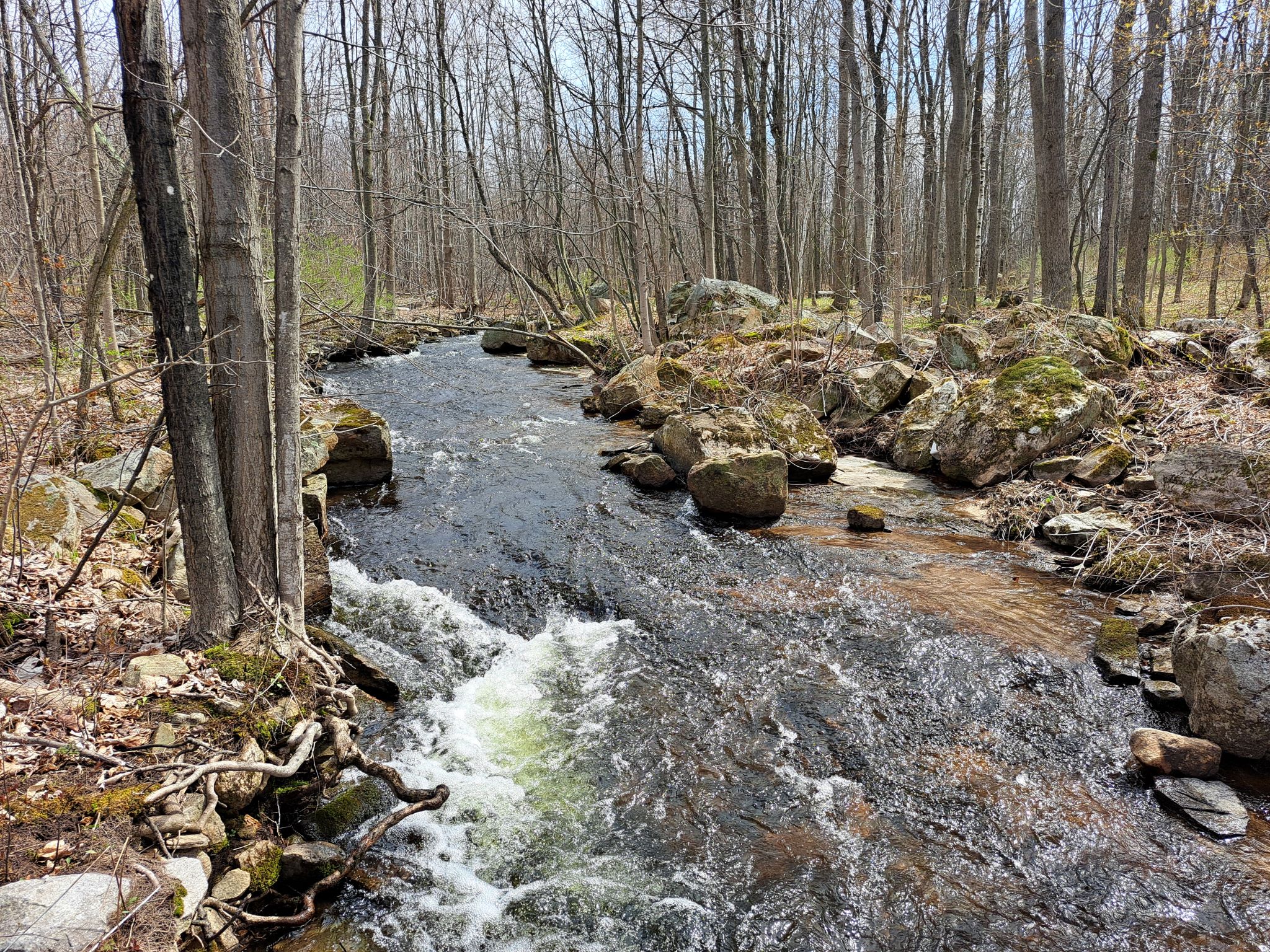 Listing Image 19
