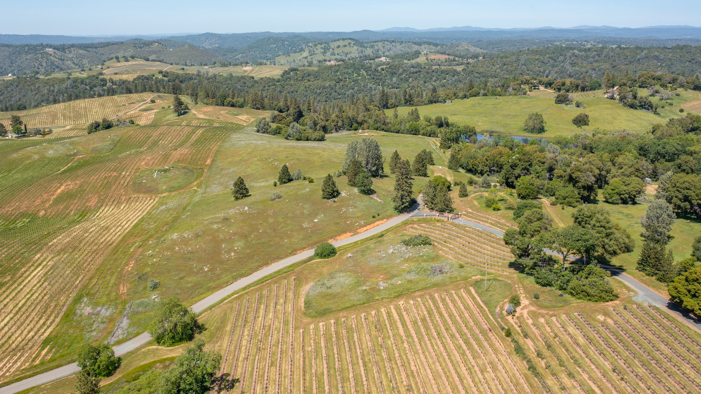 Listing Image 89
