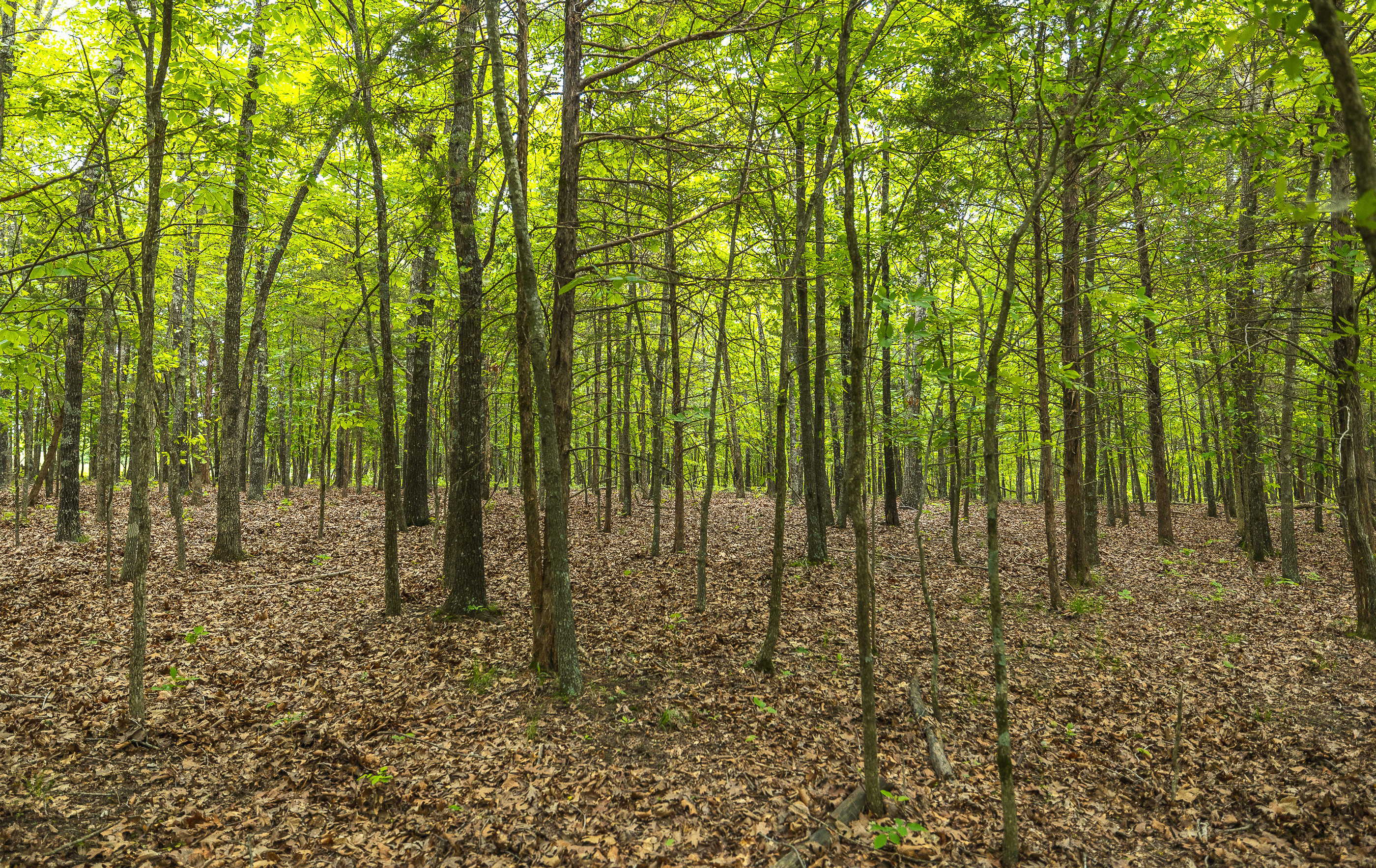 Waters Edge on the Gasconade River Tract 1