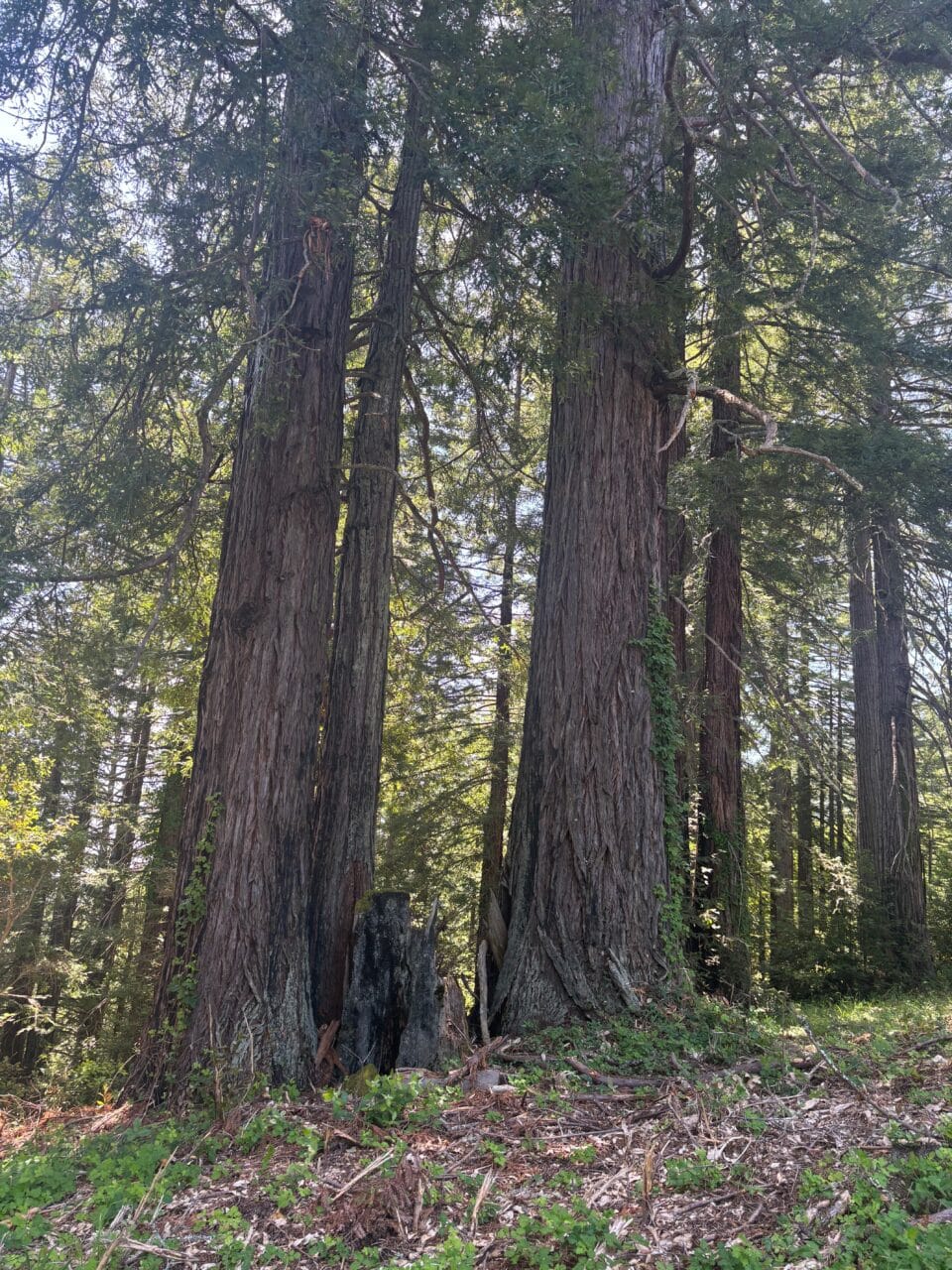Listing Image 24