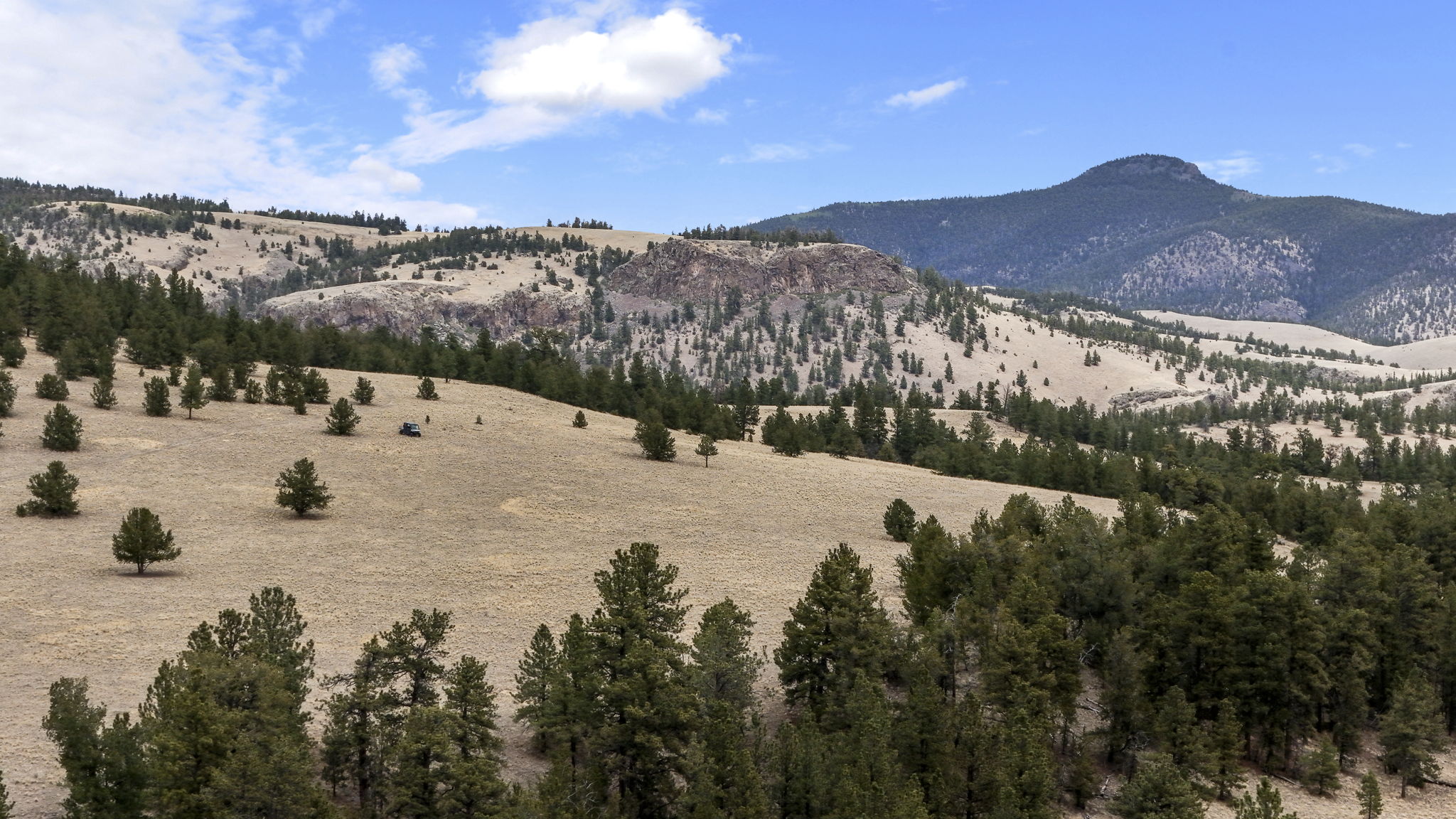 Listing Image 47