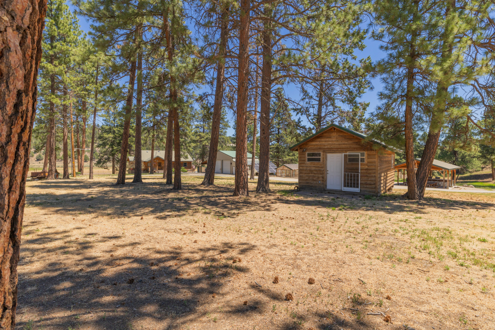 Listing Image 20