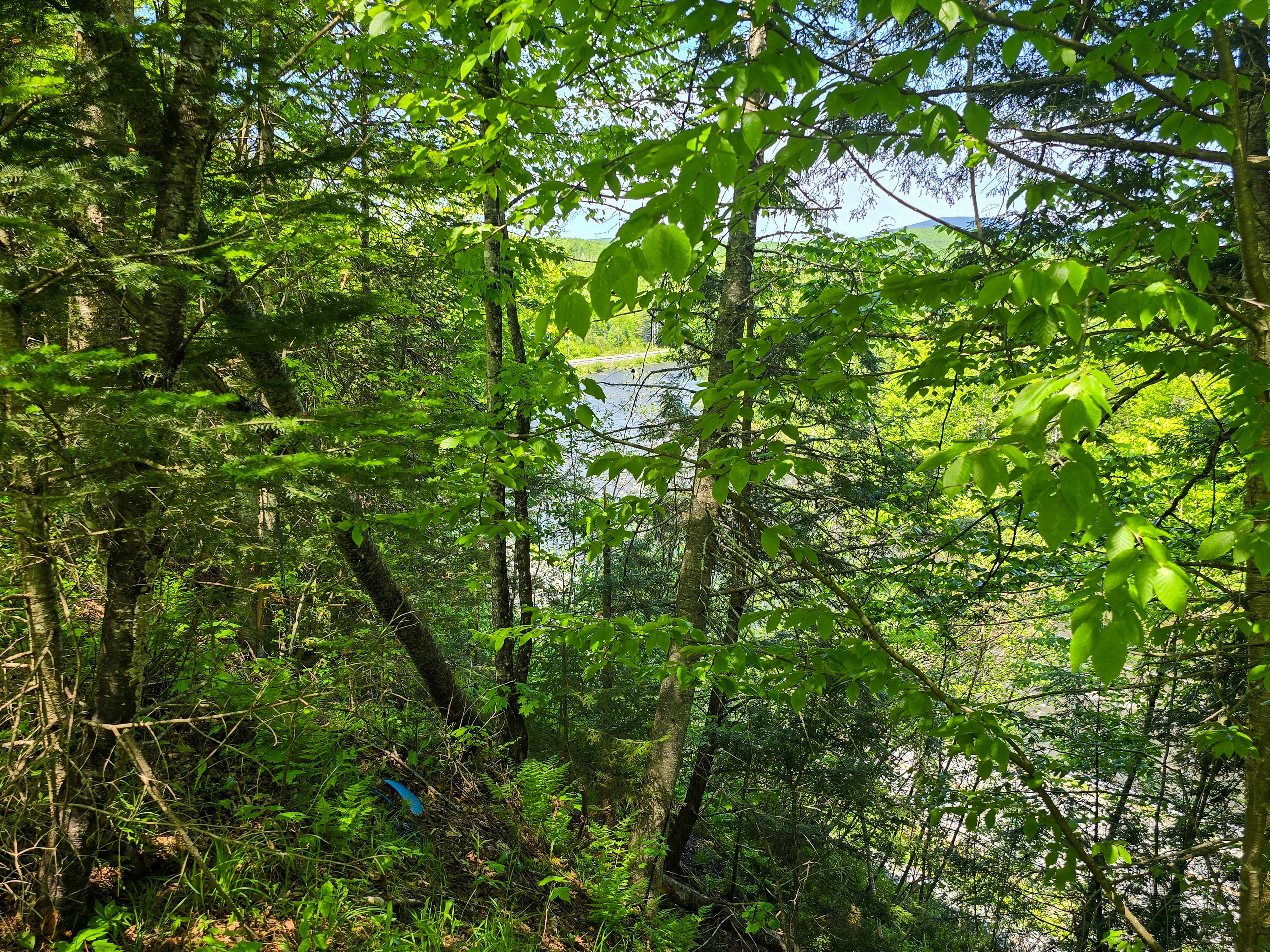 150 Spur Rd - Bloomfield