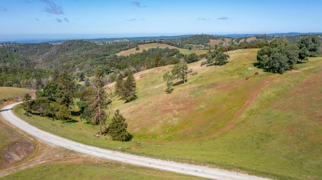 Trembath Mountain Vista